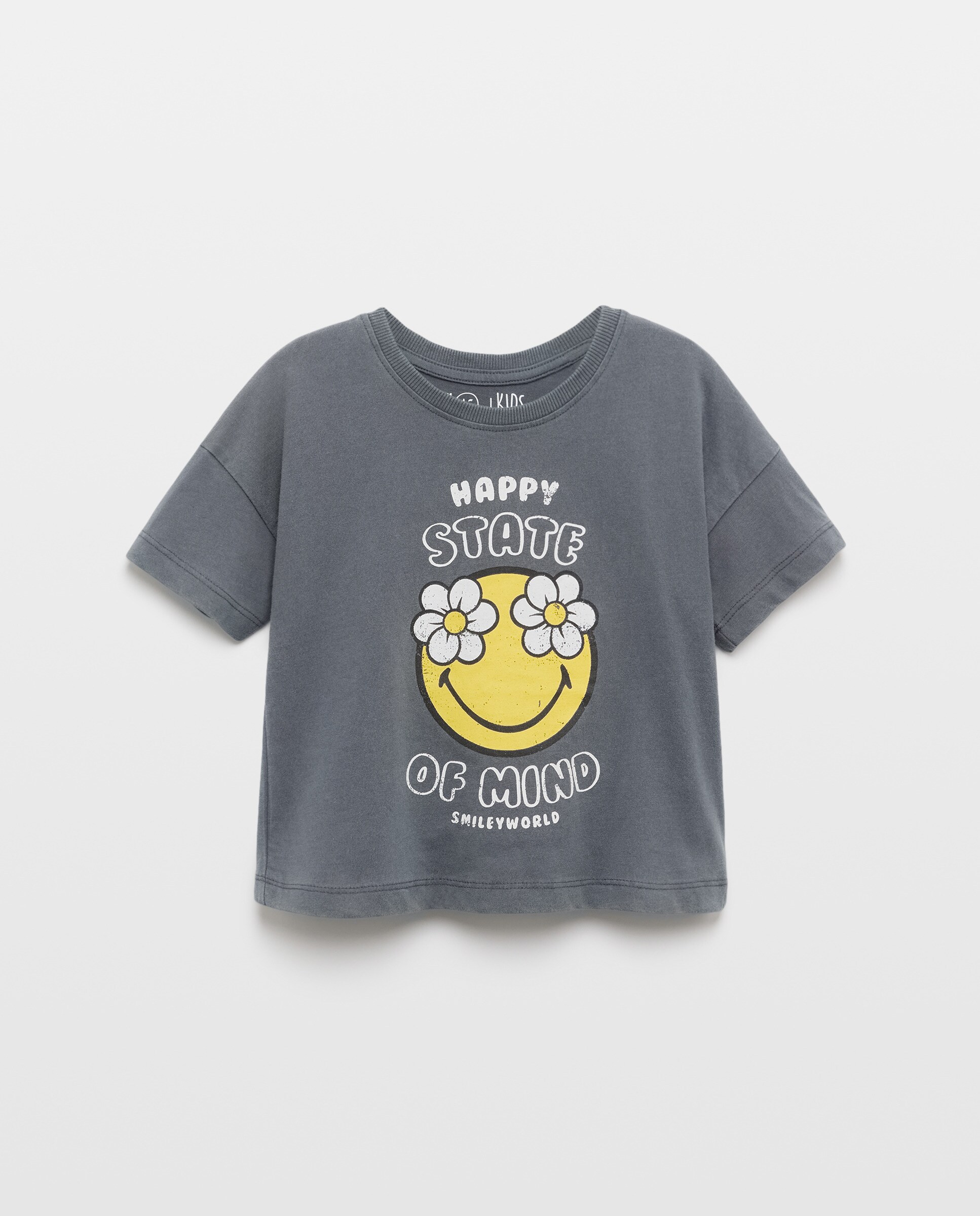 T-shirt de Manga Curta às Riscas e com Malmequeres Cinzento-1