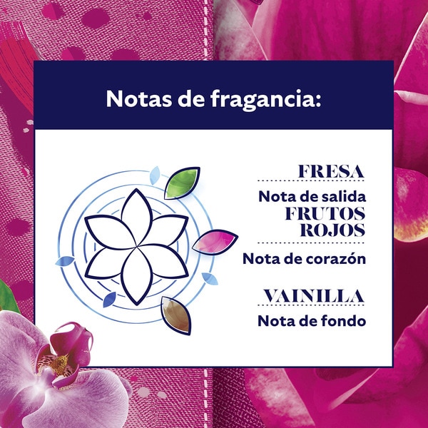 Weichspülerkonzentrat Origins mit Extraduft Wildrosen Flasche 95 Dosis