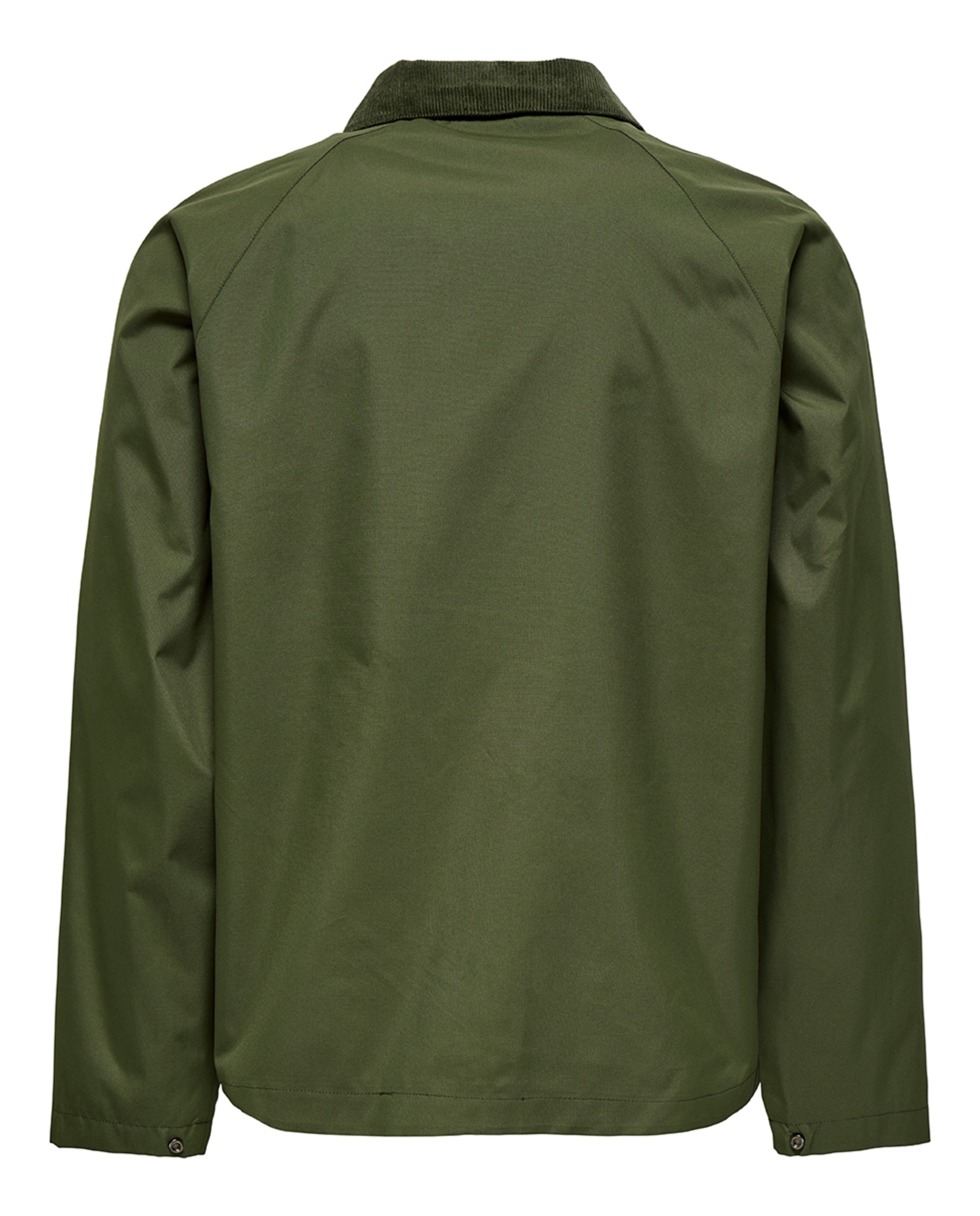 Casaco Regular Fit Verde-6