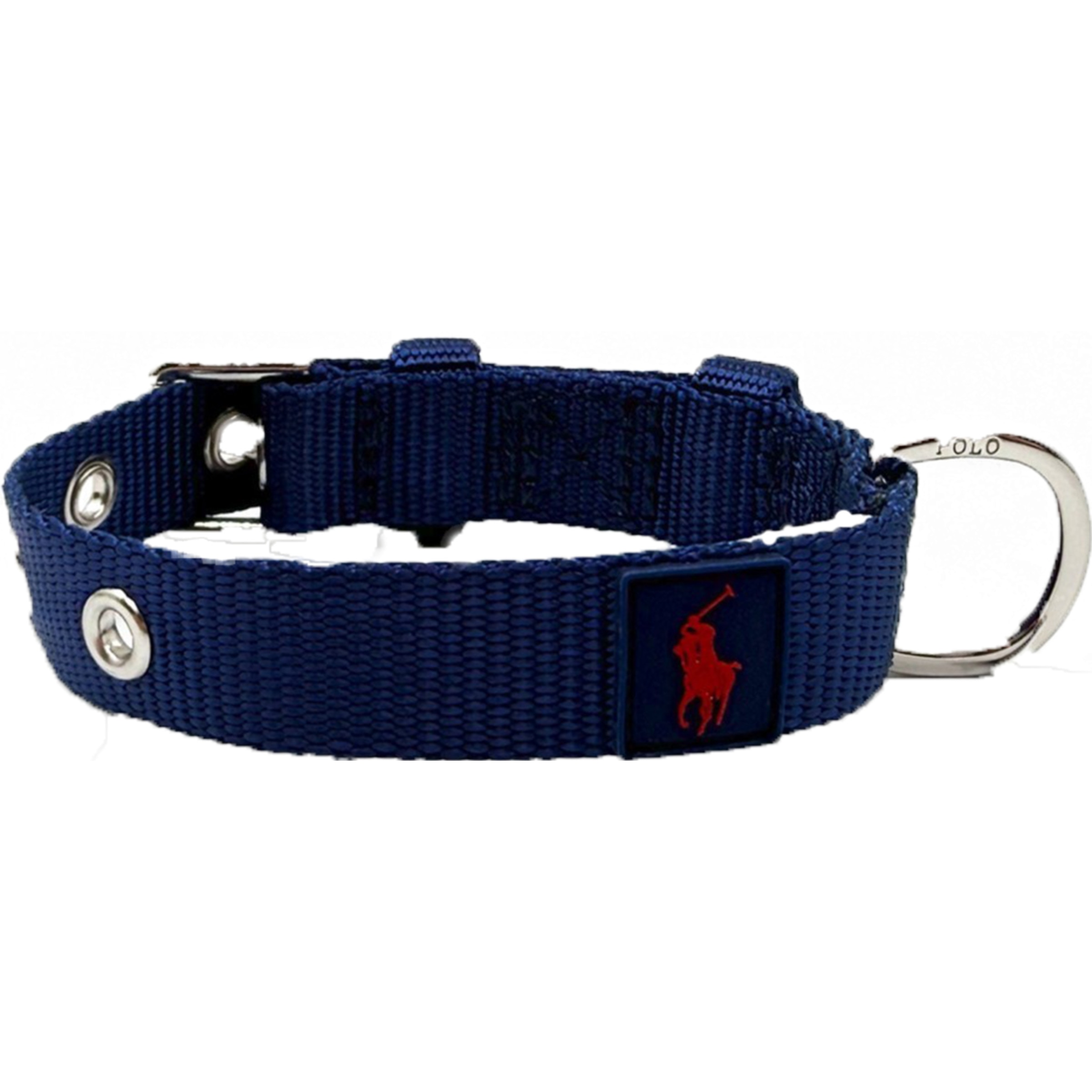 Coleira Azul para Cão L-XL 1 unidade