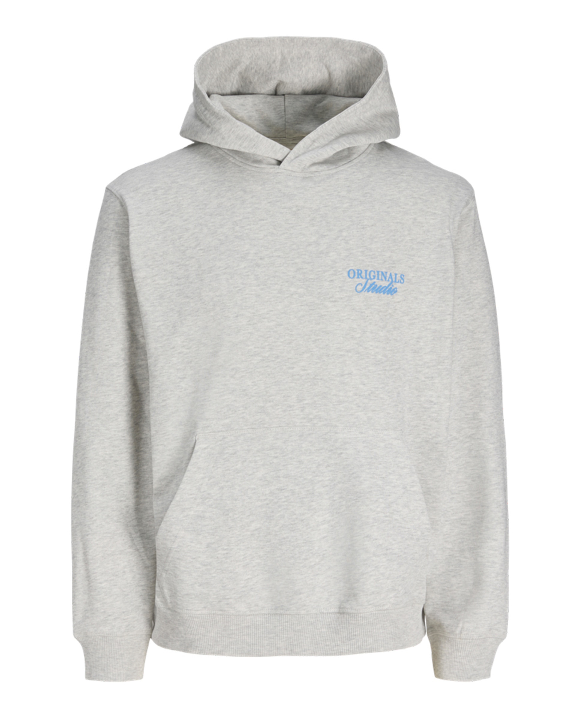 Sweatshirt com Capuz e Estampado Traseiro Cinzento-6