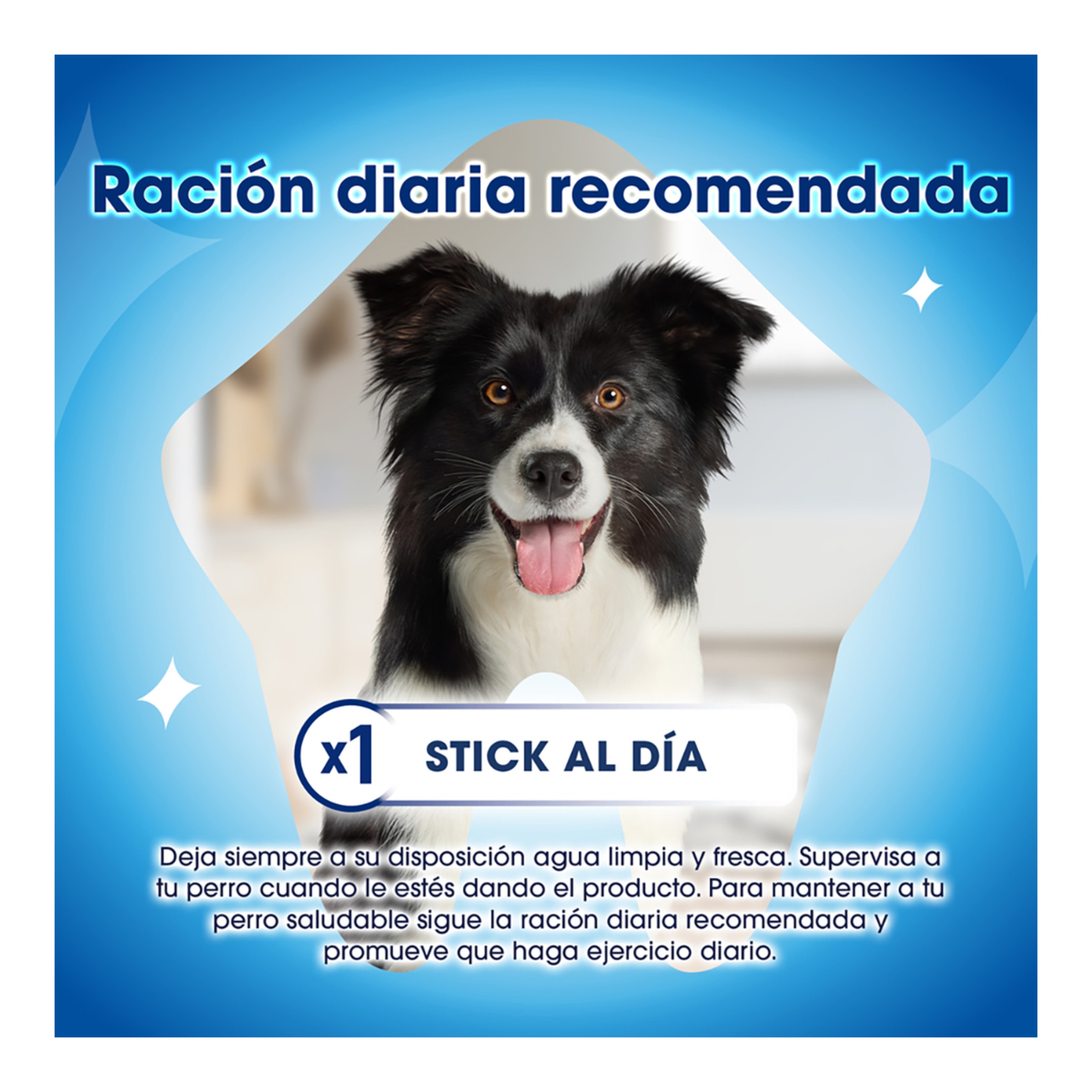 Snack dental para perros pequeños Purina DentaLife 6
