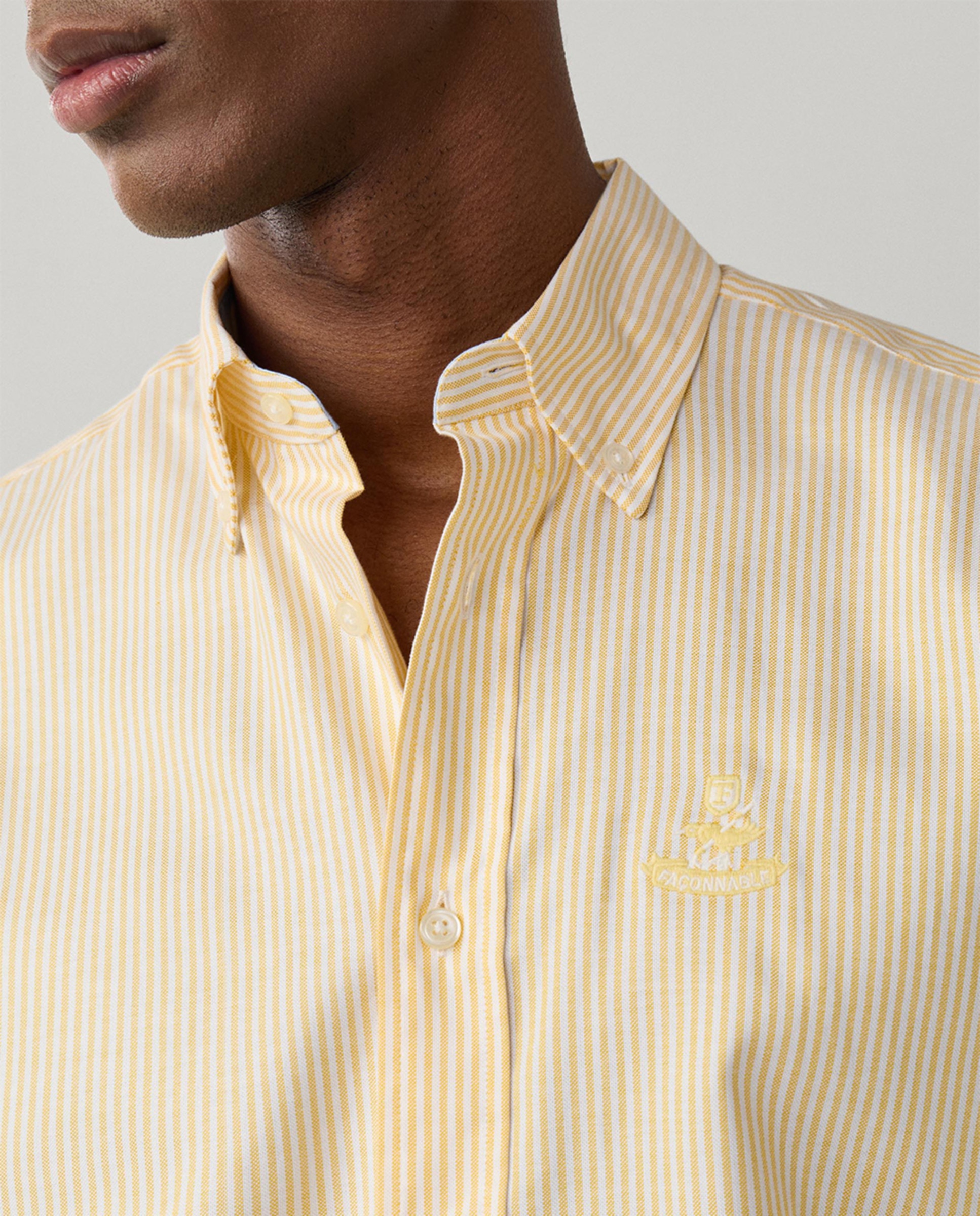 Camisa Oxford Regular Fit às Riscas Amarelo-7