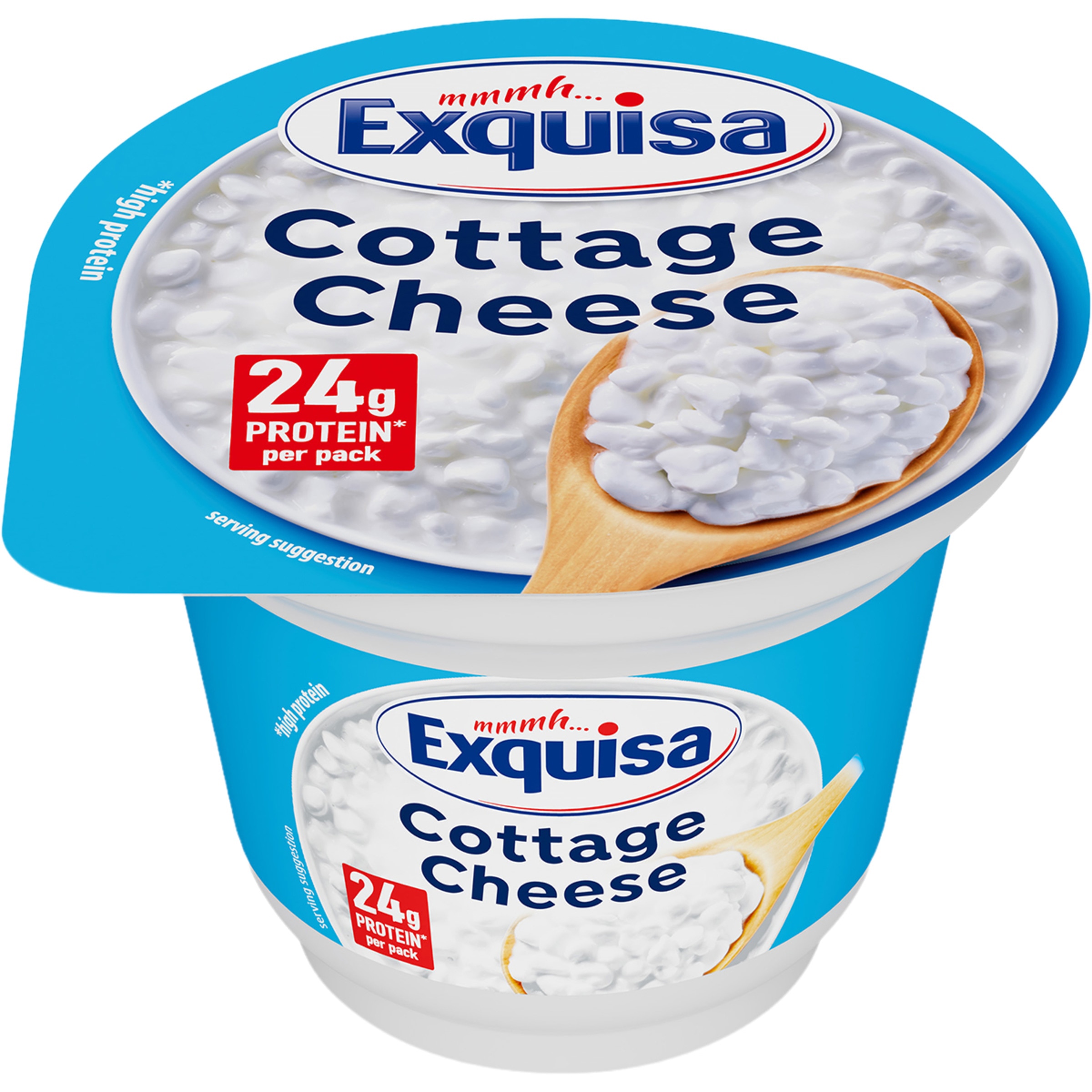 queso cottage elaborado con leche pasteurizada tarrina 200 g