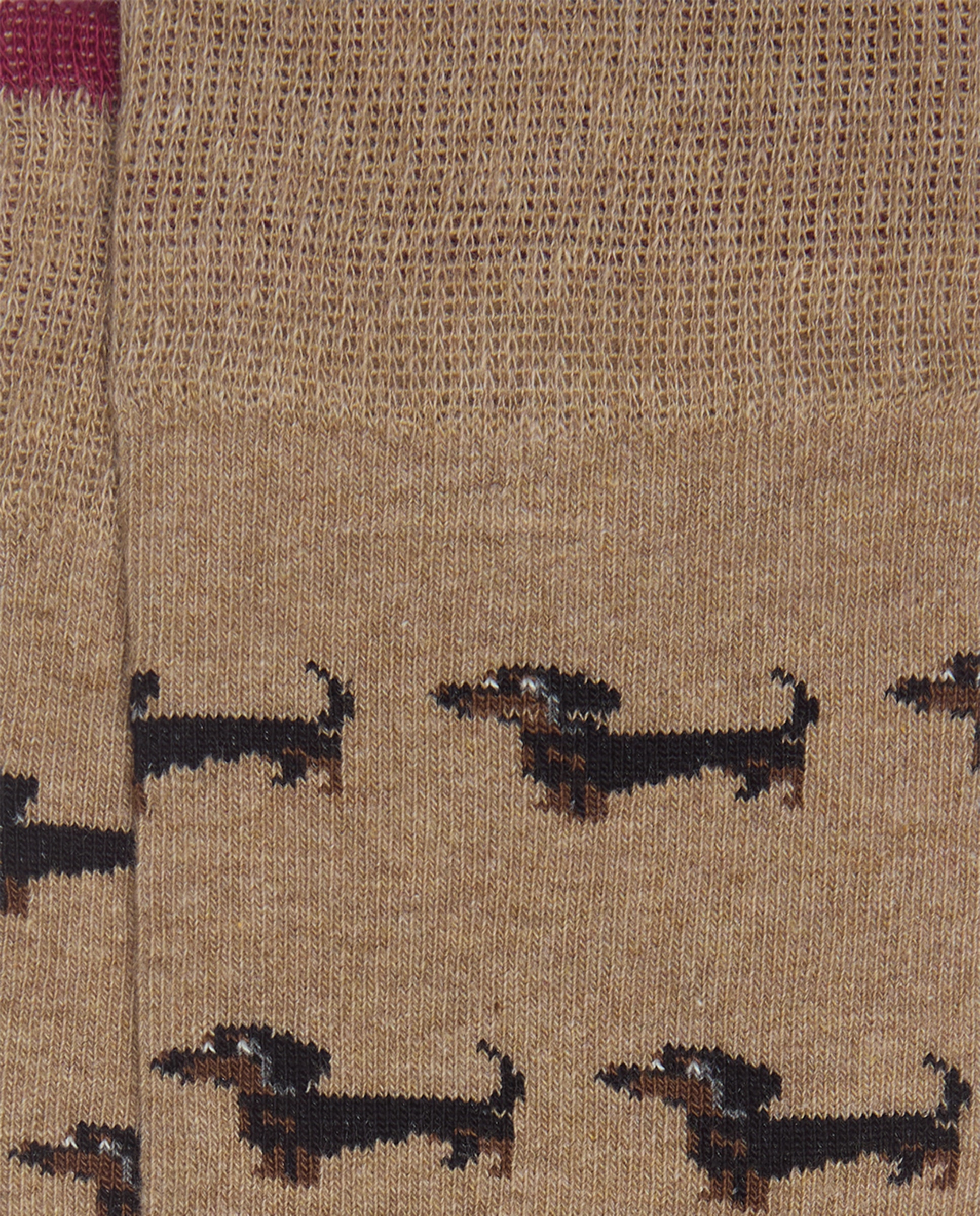 Meias Regular Teckel - Bege Bege-2