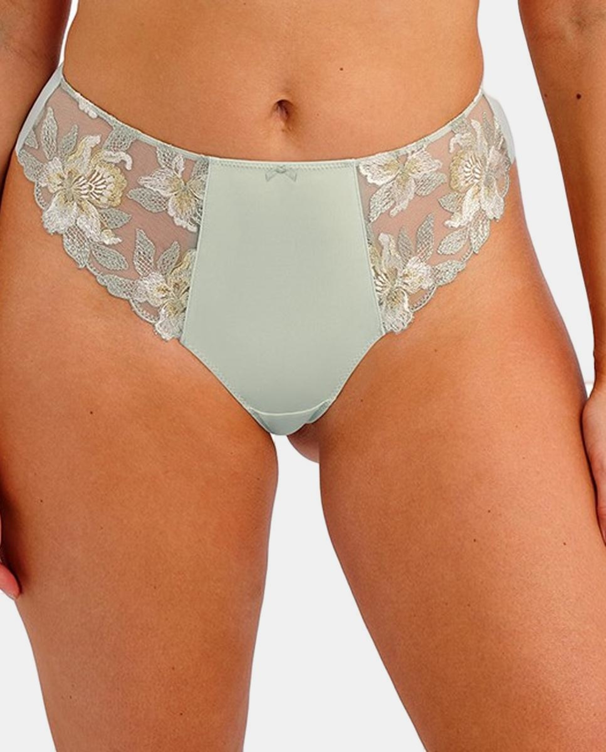 Imagem 0 de Tanga Tipo Cueca Asa Delta Lisa com Renda de Impressão Floral