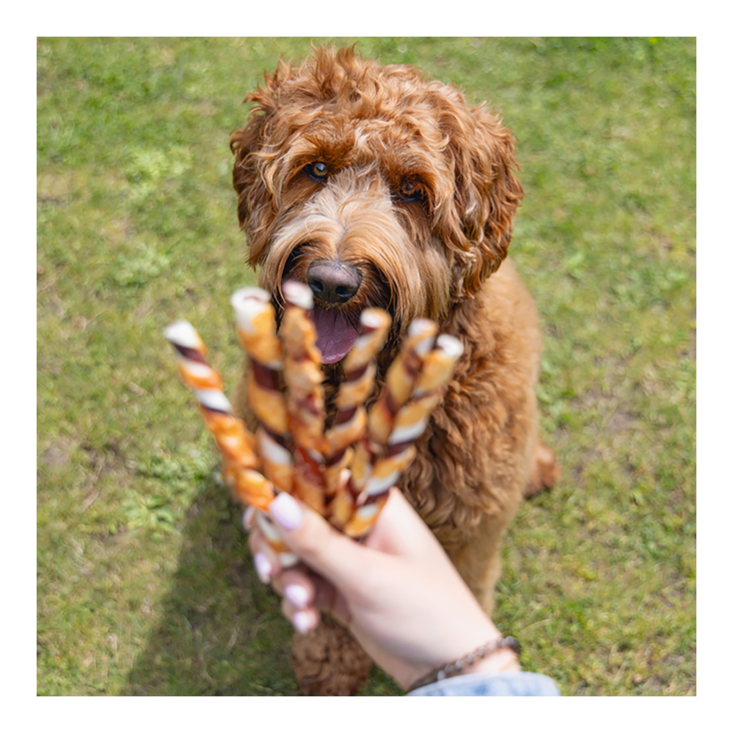 Snack para perros Beeztees Duostick ternera y pollo 200 g 4