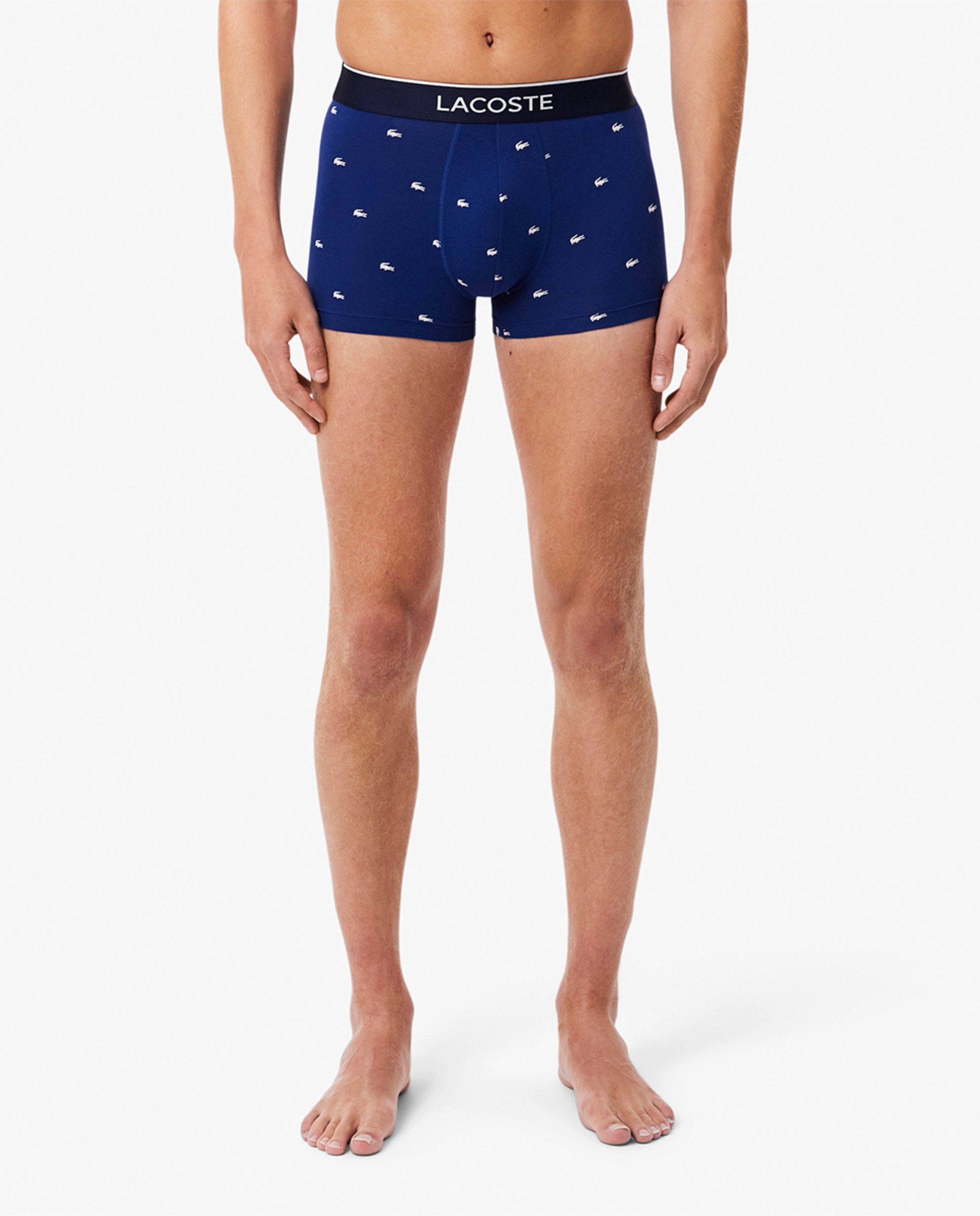 Pack de 3 Boxers de Algodão com Logótipo na Cintura Multicolor-3