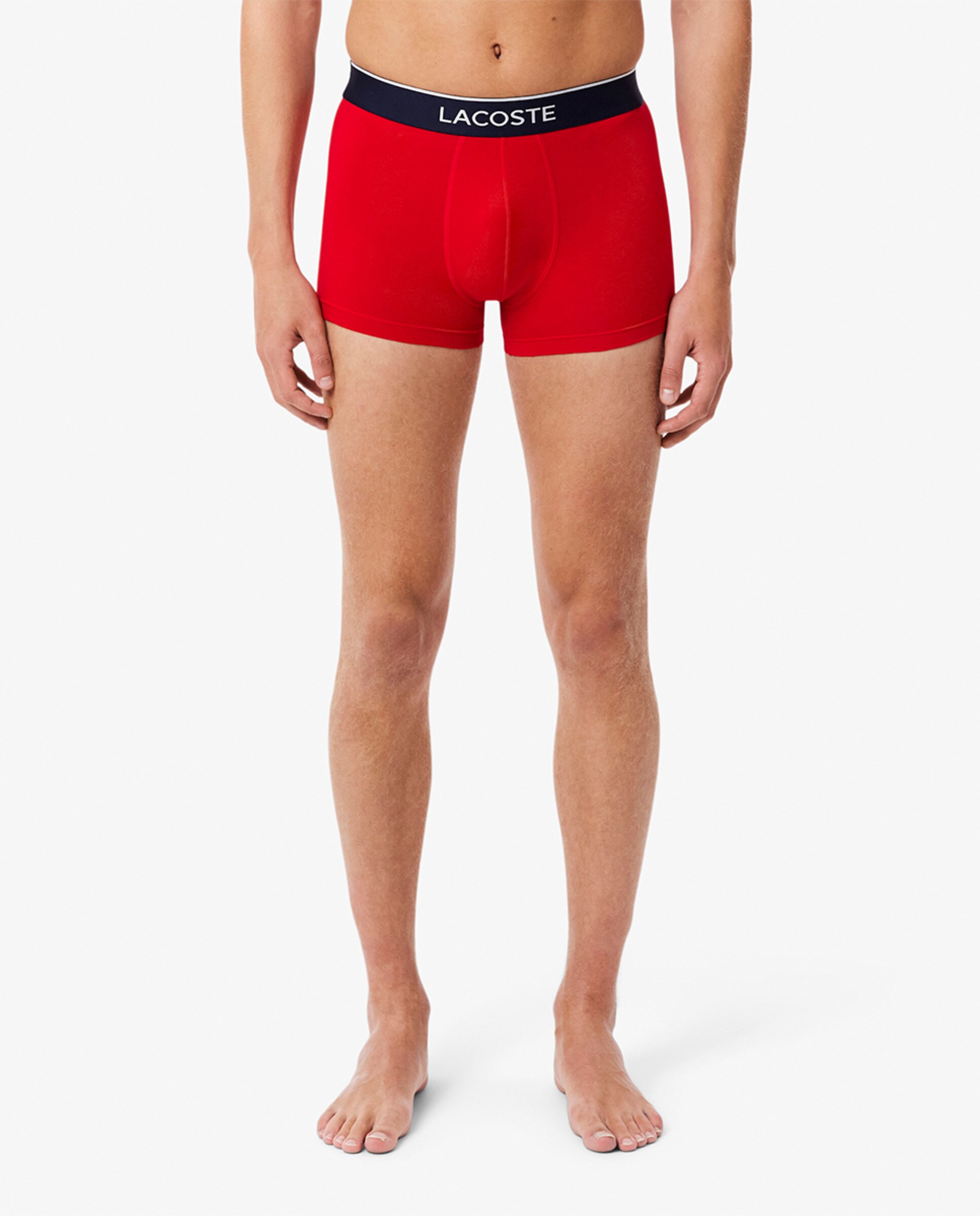 Pack de 3 Boxers de Algodão com Logótipo na Cintura Multicolor-2