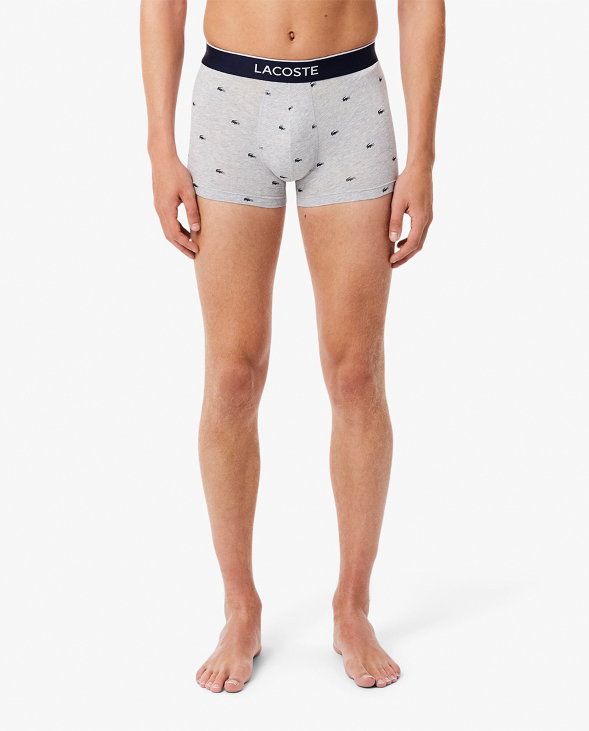 Pack de 3 Boxers de Algodão com Logótipo na Cintura Multicolor-4