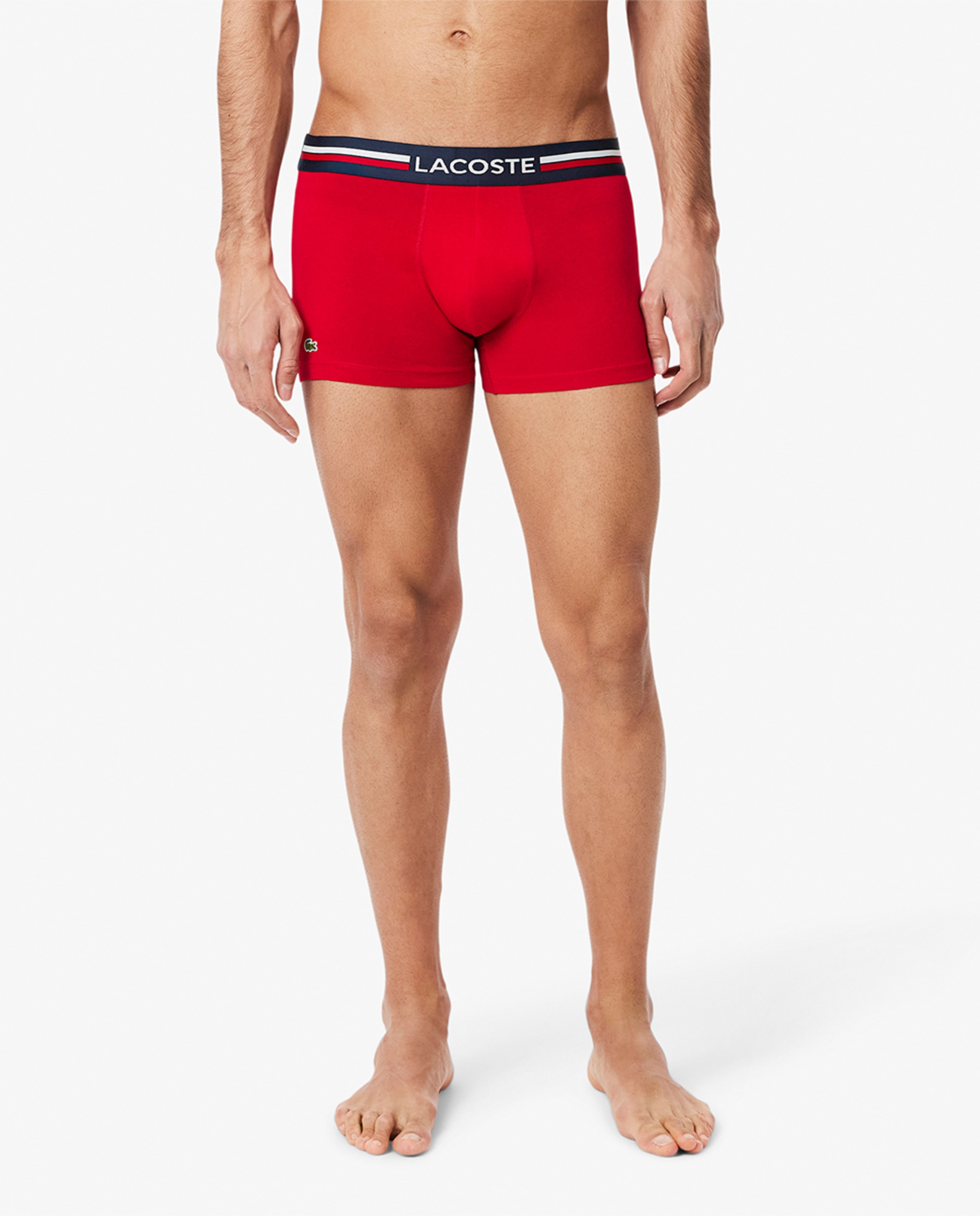 Pack de 3 Boxers de Algodão Elástico com Logótipo na Cintura Multicolor-2
