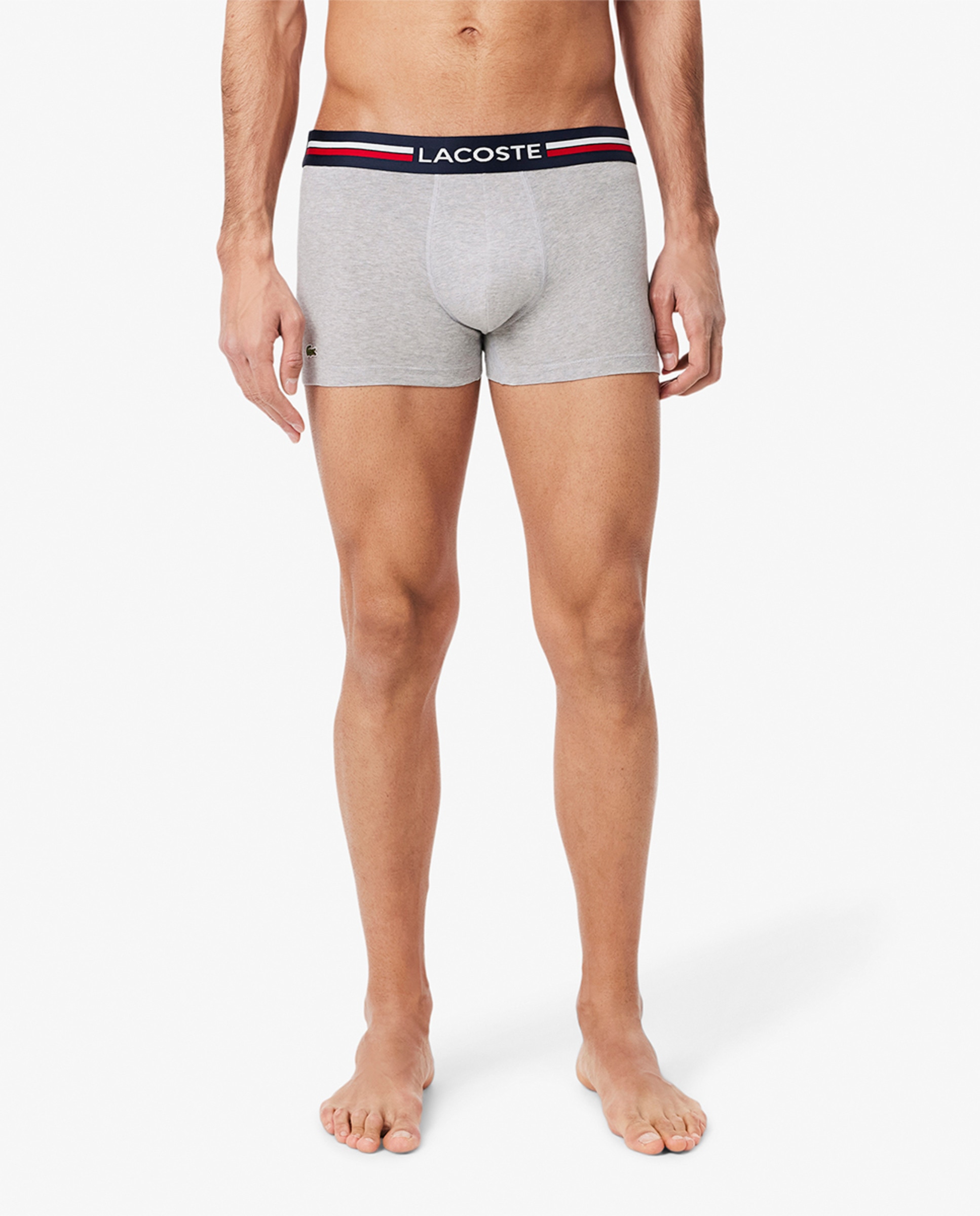 Pack de 3 Boxers de Algodão Elástico com Logótipo na Cintura Multicolor-3