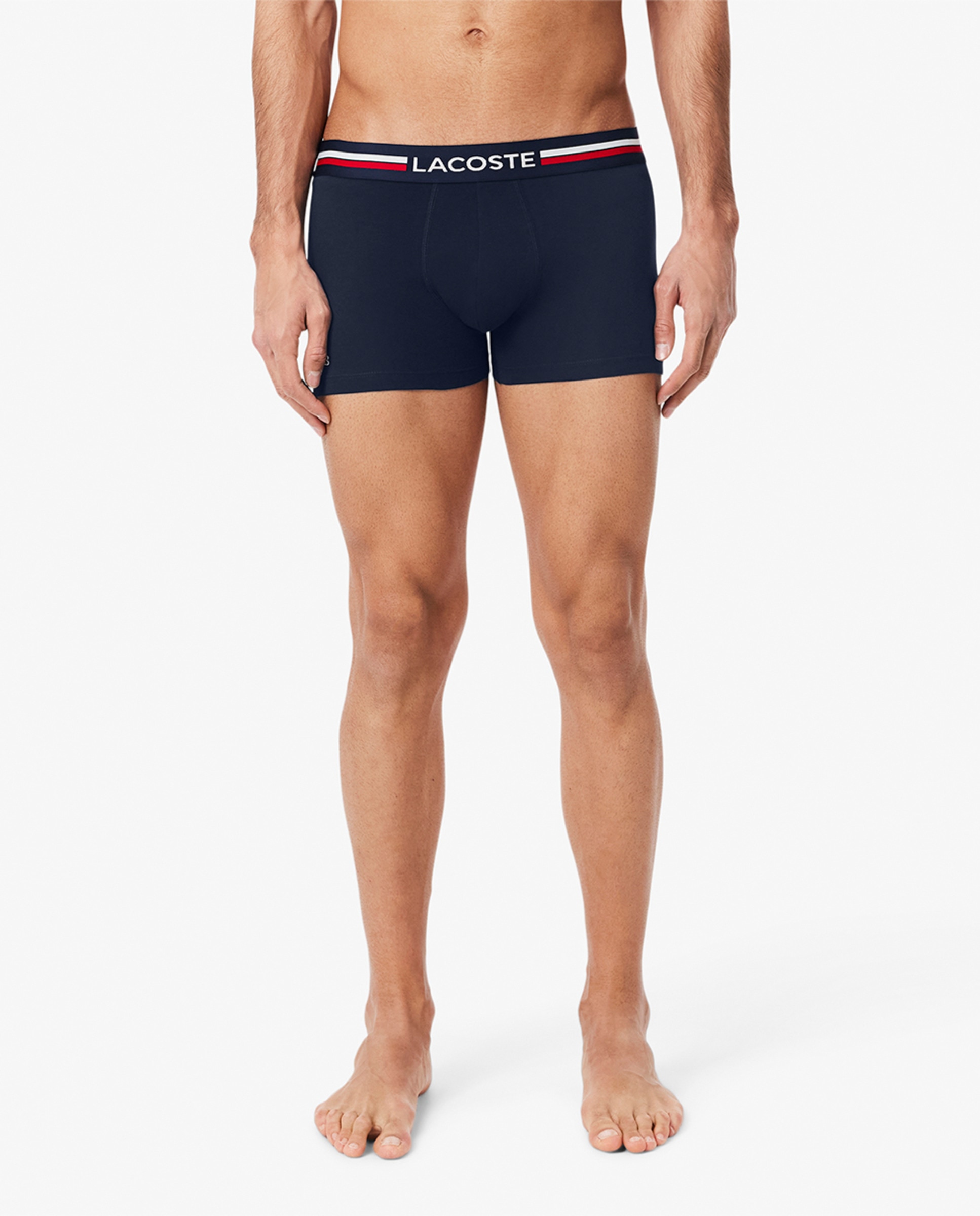 Pack de 3 Boxers de Algodão Elástico com Logótipo na Cintura Multicolor-4