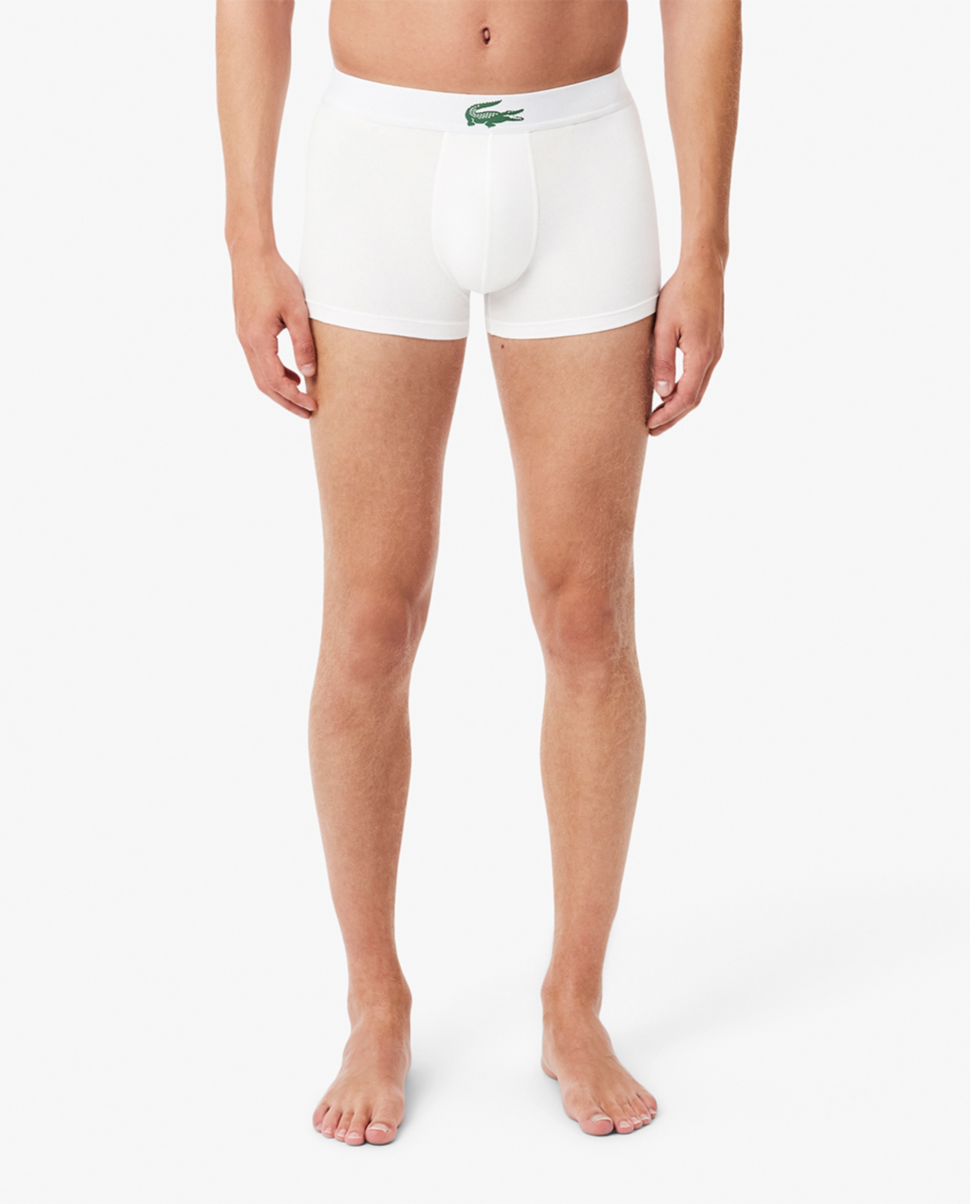 Pack de 3 Boxers de Algodão com Logótipo na Cintura Multicolor-3