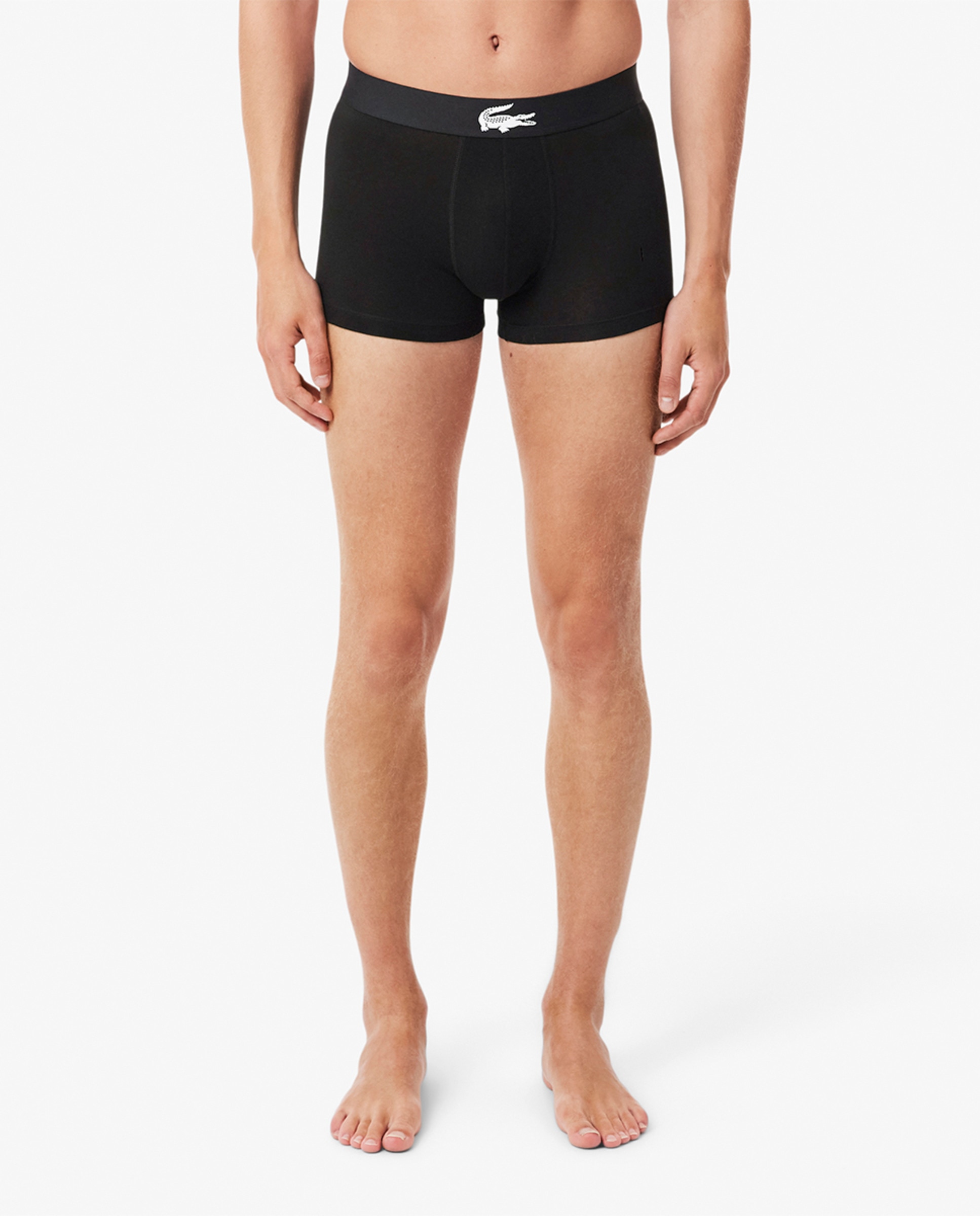 Pack de 3 Boxers de Algodão com Logótipo na Cintura Multicolor-2