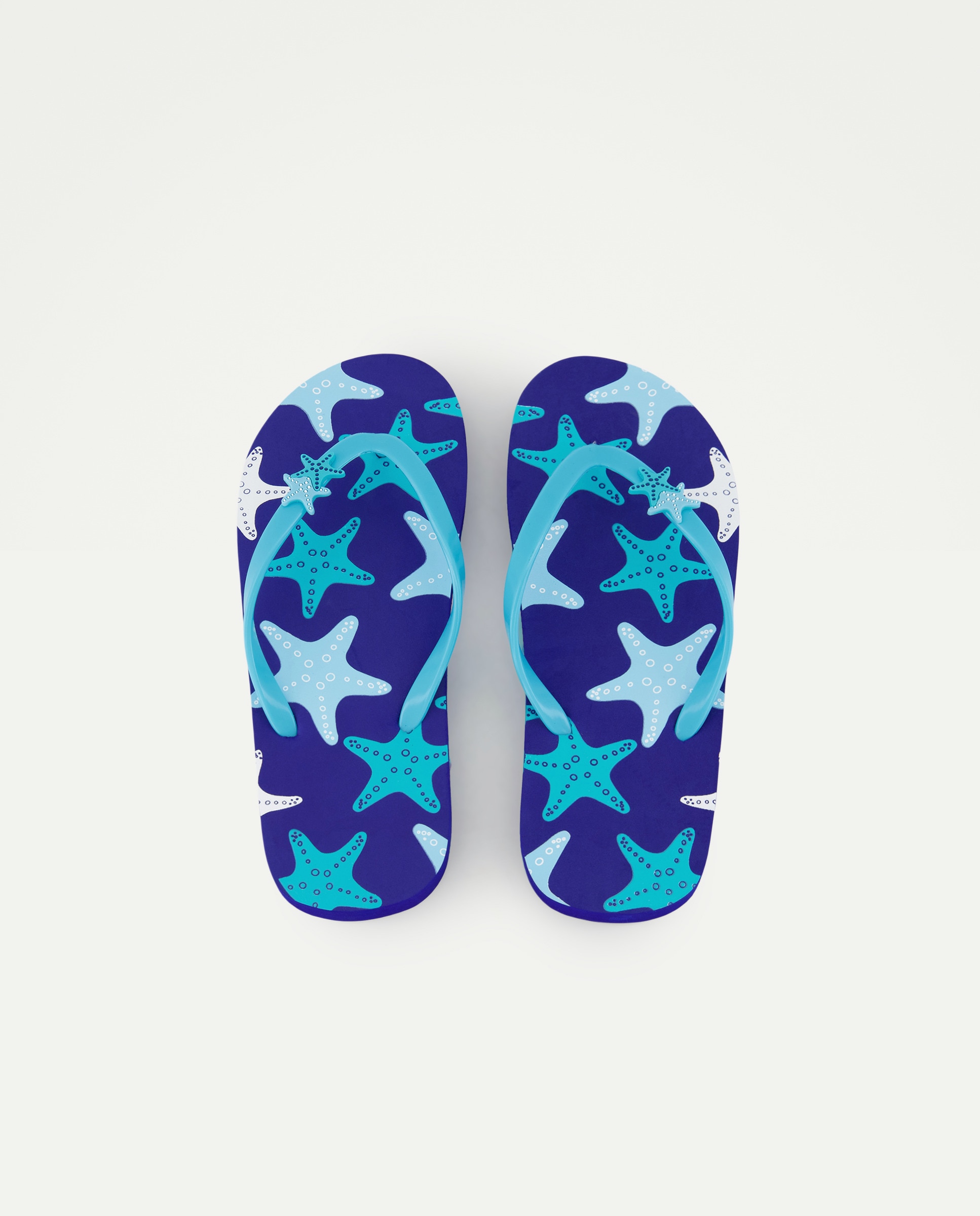 Chinelos Flip Flop Azul-4