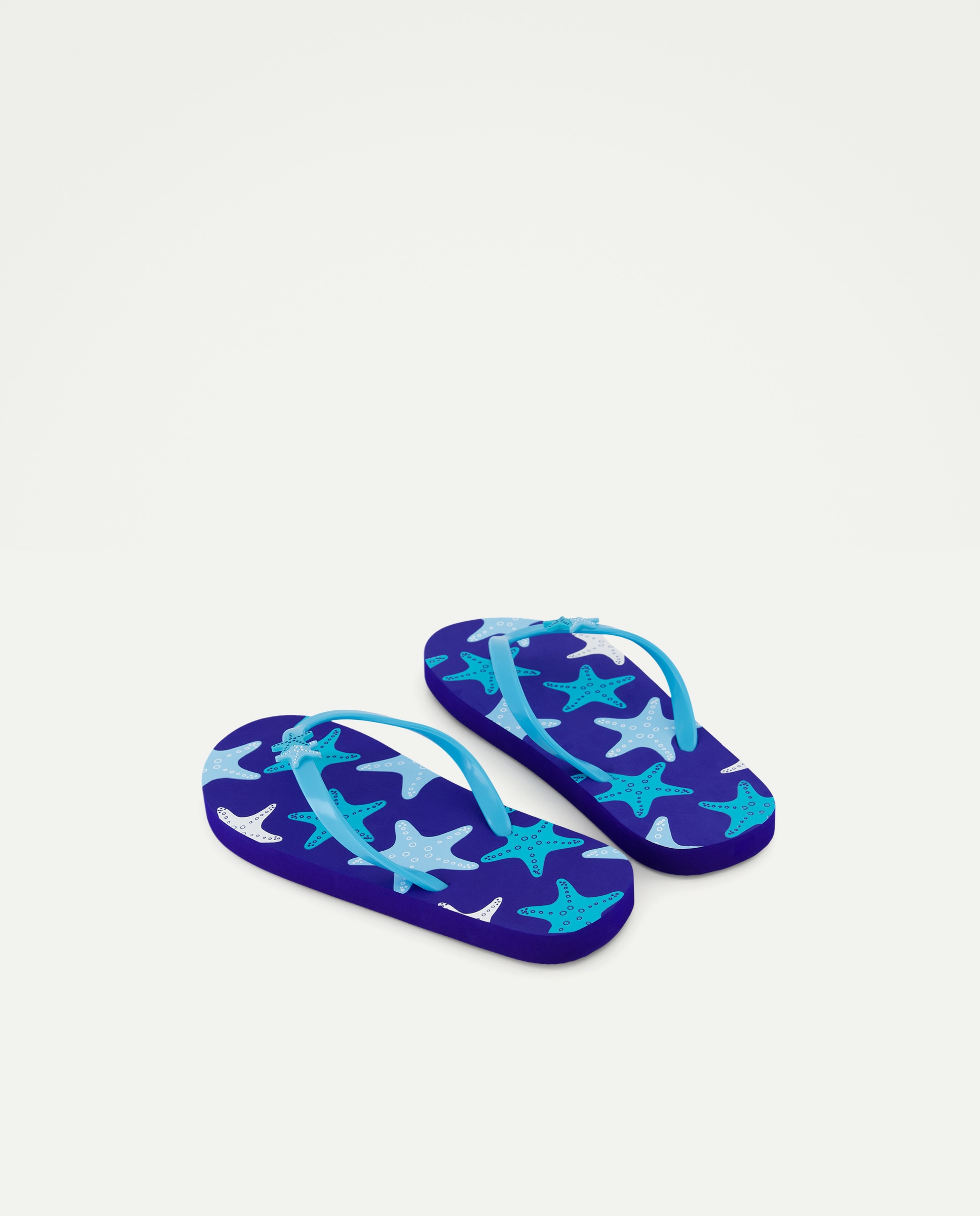 Chinelos Flip Flop Azul-3