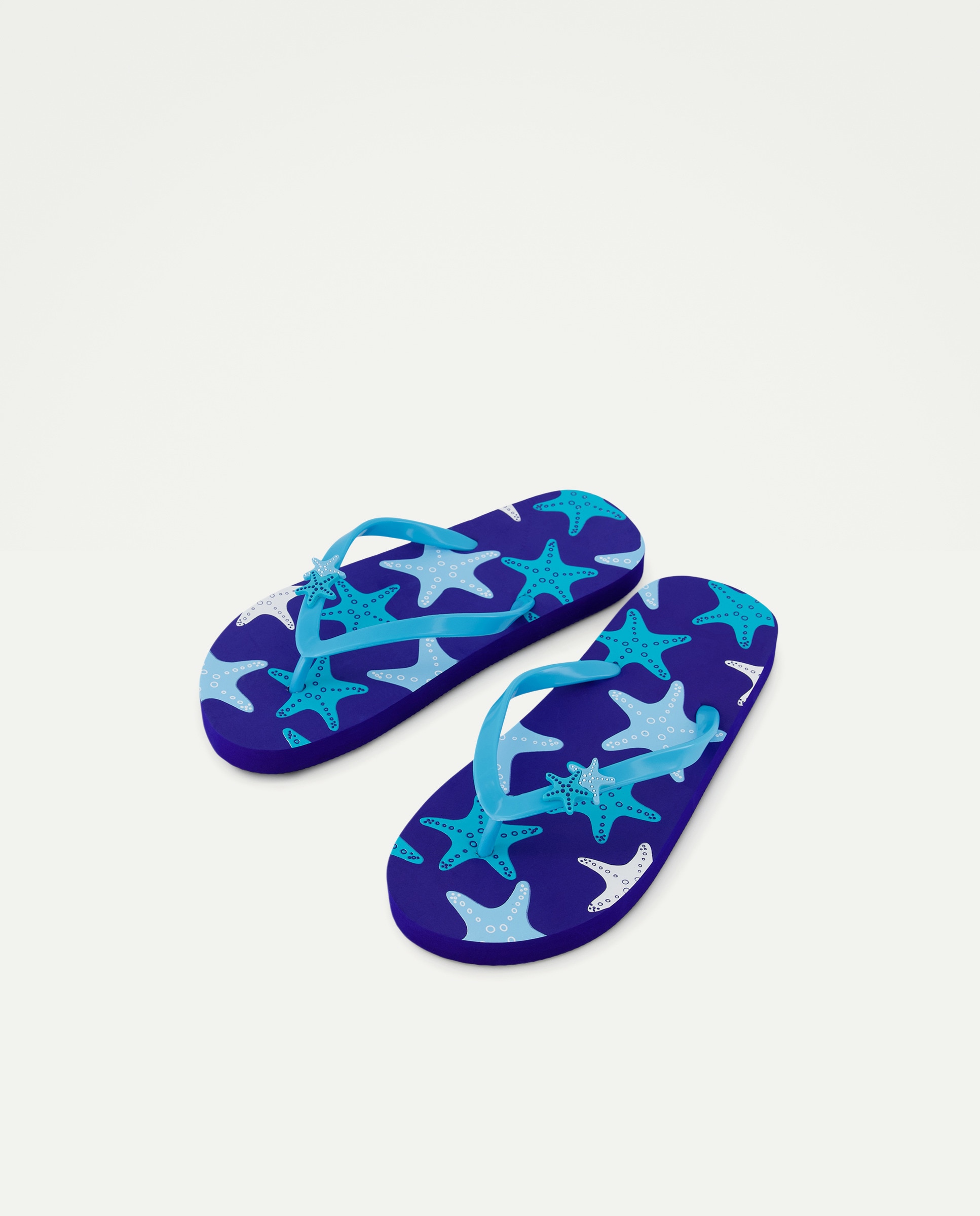 Chinelos Flip Flop Azul-2