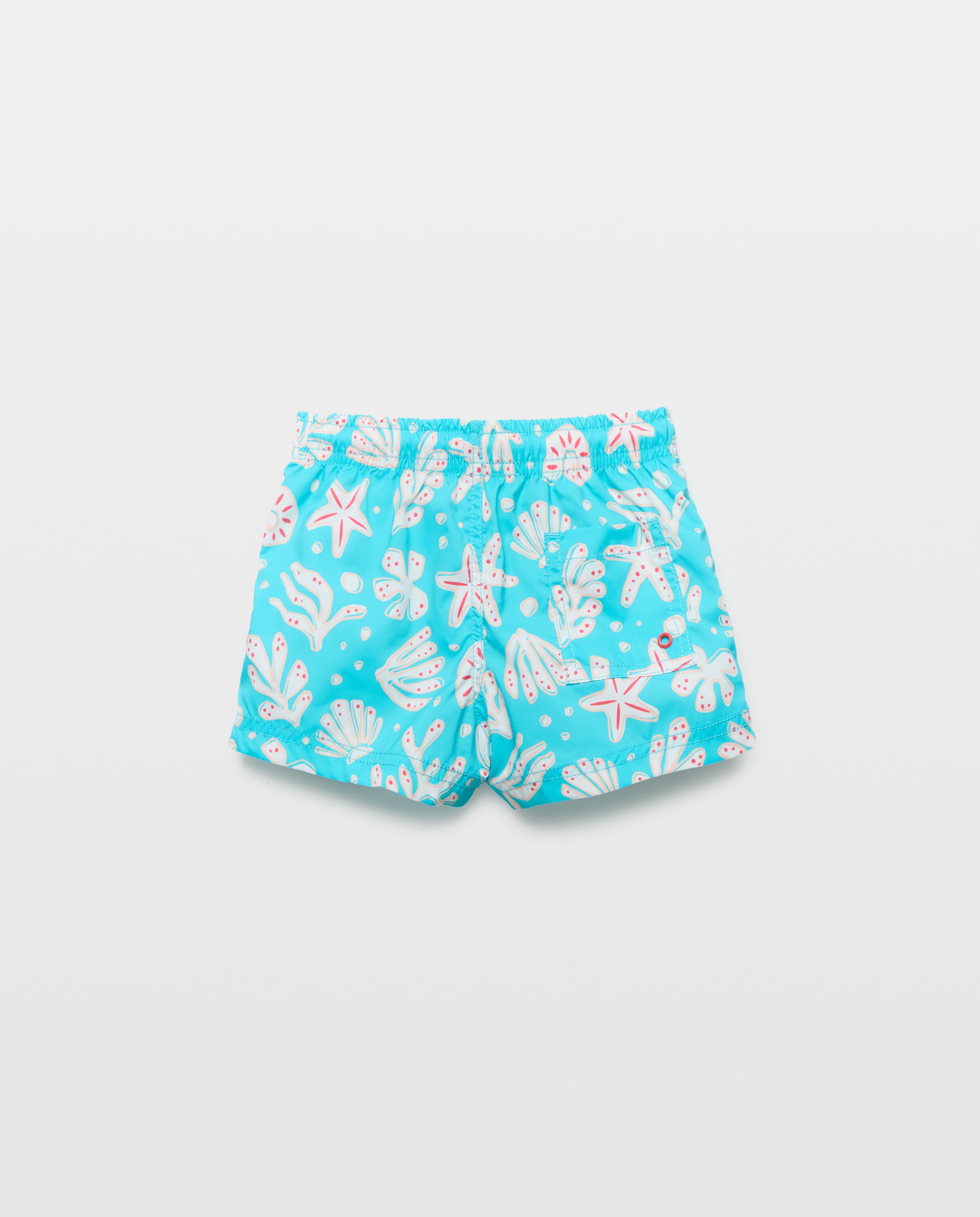 Bermudas de Bebé às Cores com Conchas de Perfil Verde-2