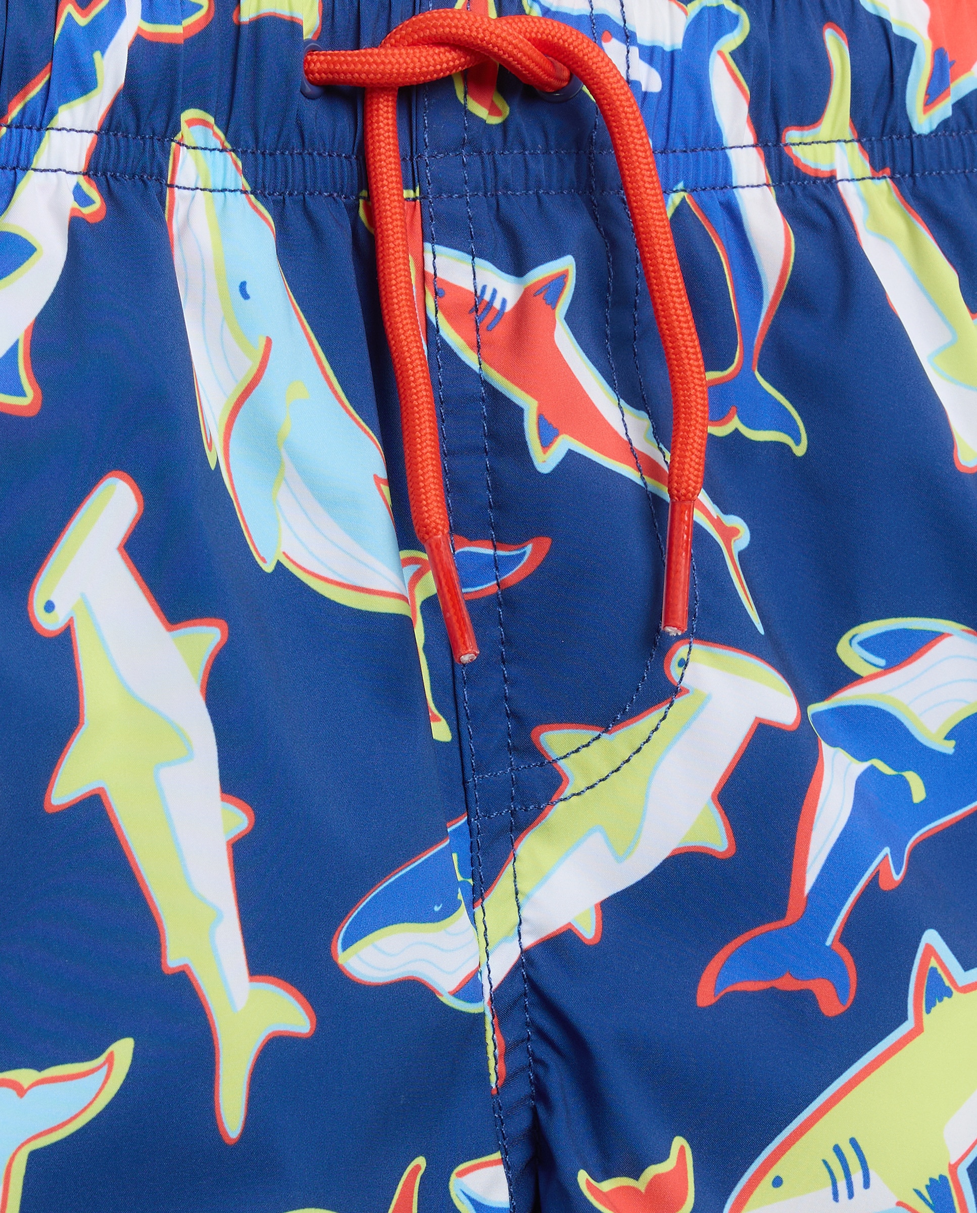 Calções de Banho de Algodão Bordado Azul-6