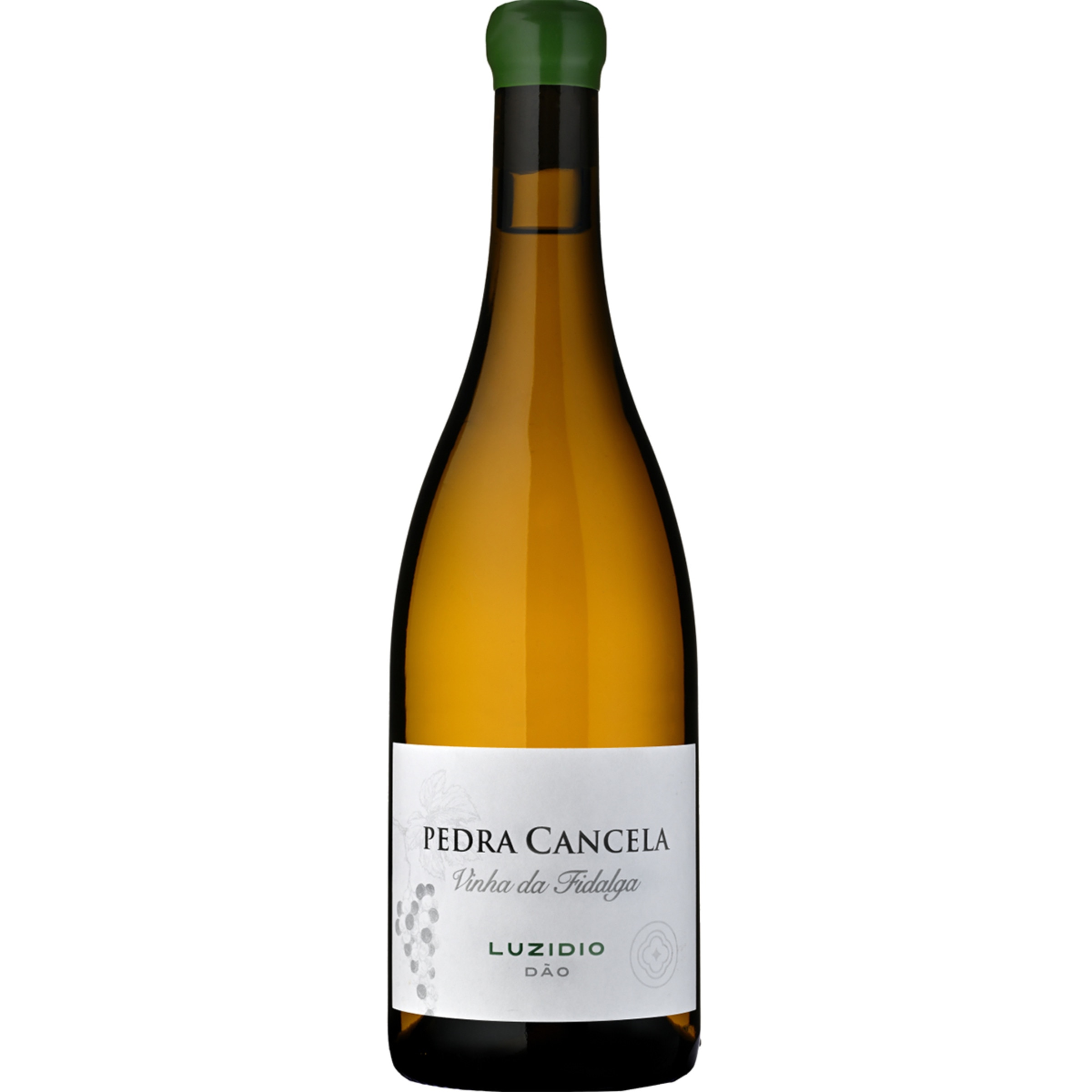 Vinho Branco do Dão Vinha da Fidalga Luzidio garrafa 75 cl