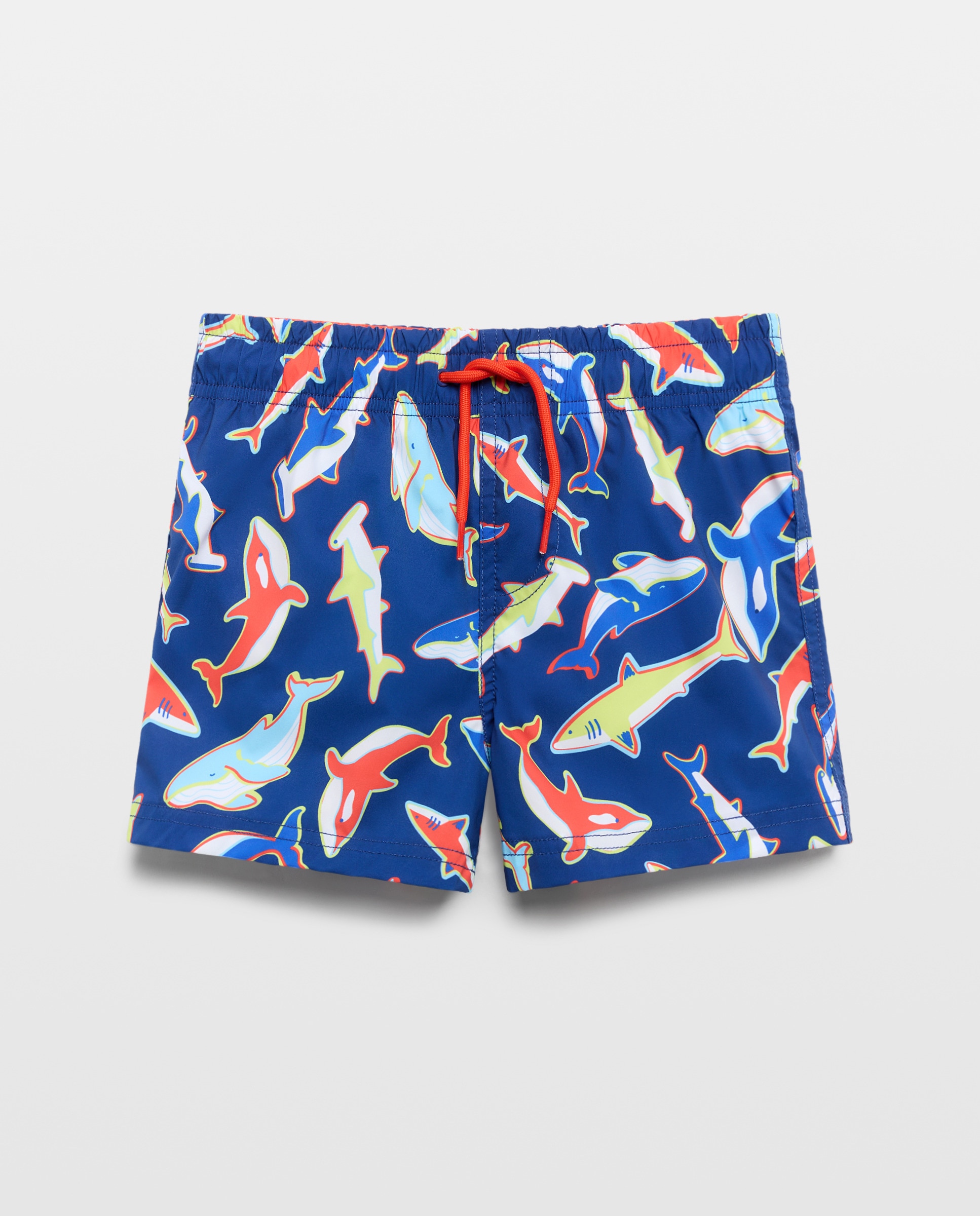 Calções de Banho de Algodão Bordado Azul-5