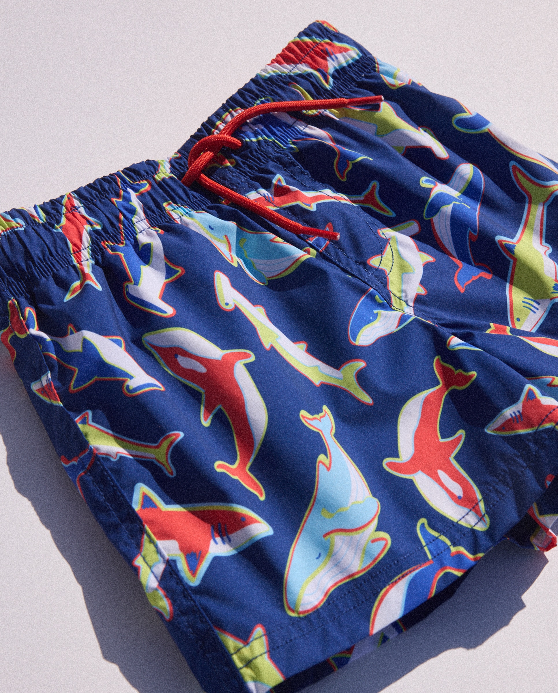 Calções de Banho de Algodão Bordado Azul-4