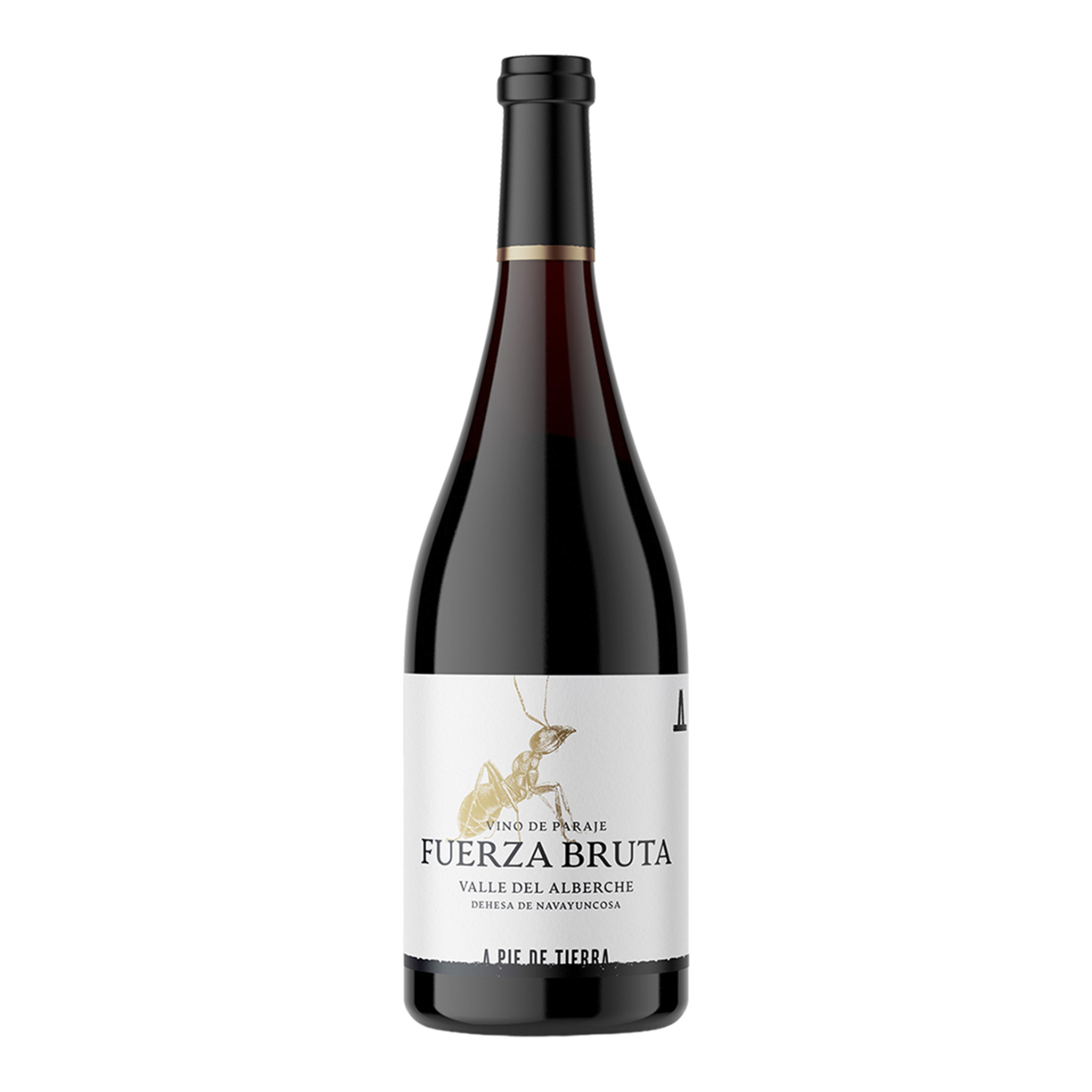 Imagen 0 de Vino tinto Fuerza Bruta garnacha 2024 Madrid