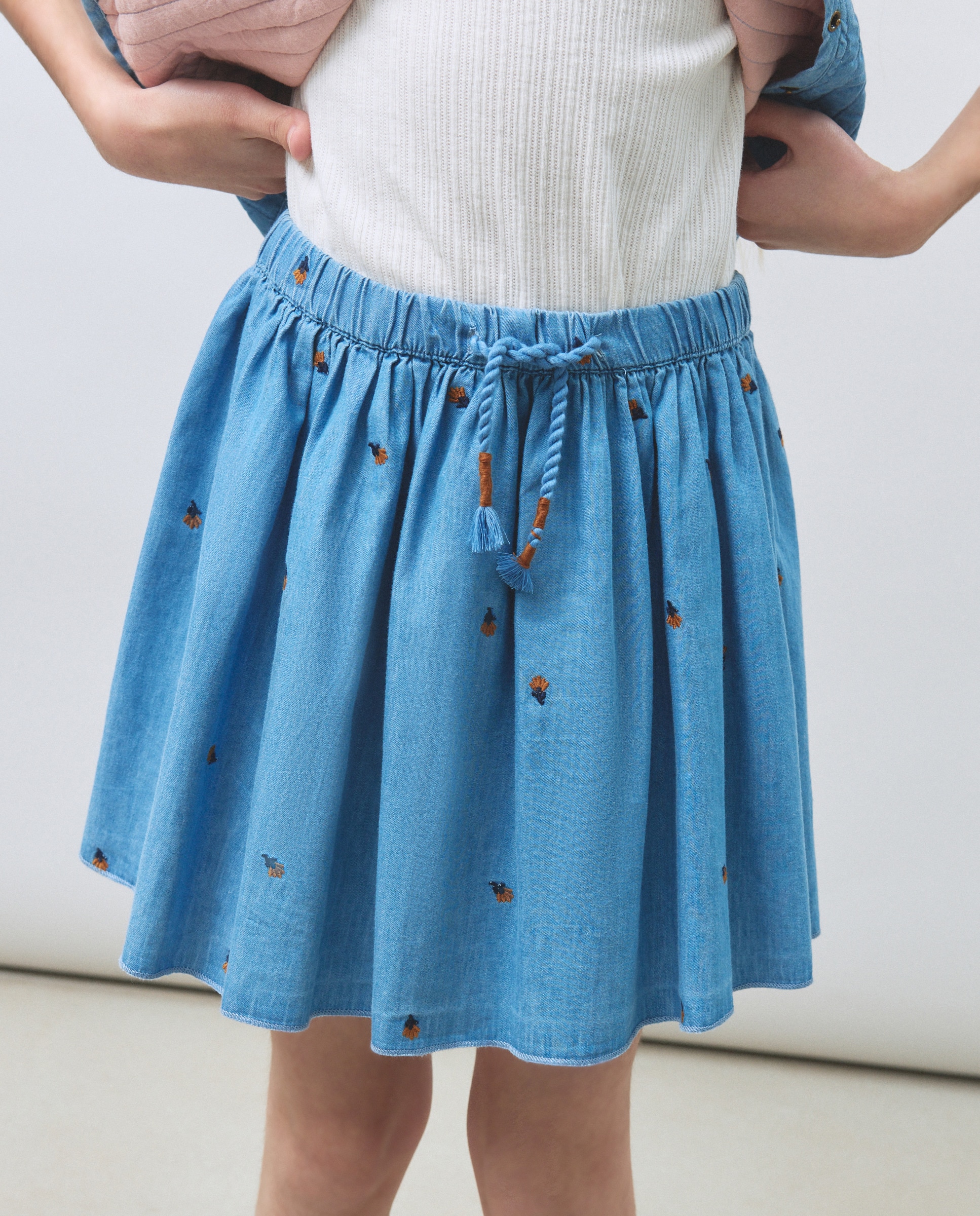 Saia Rodada de Chambray com Estampado Bordado Azul-4