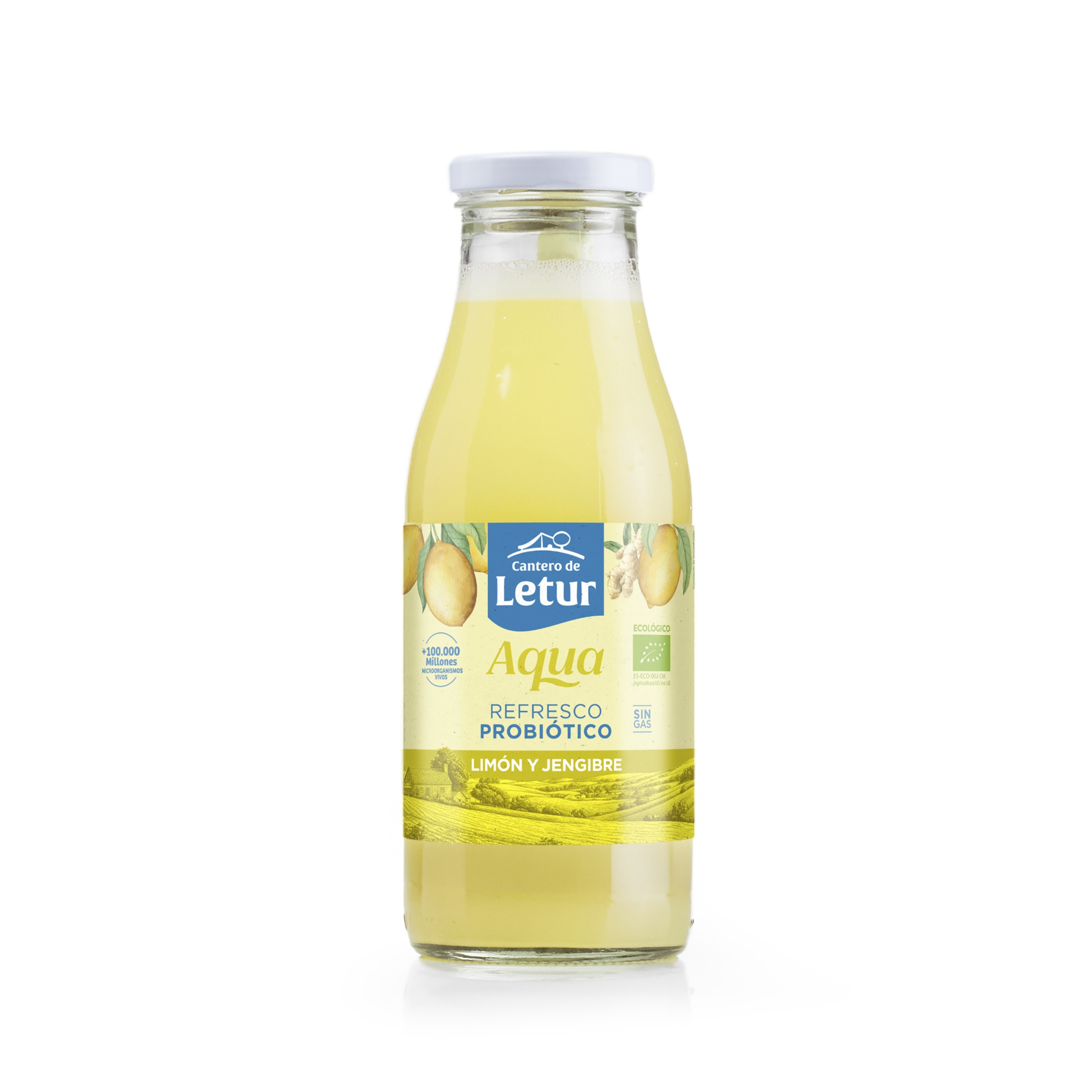 Kefir Bio Aqua Limão e Gengibre embalagem 500 g