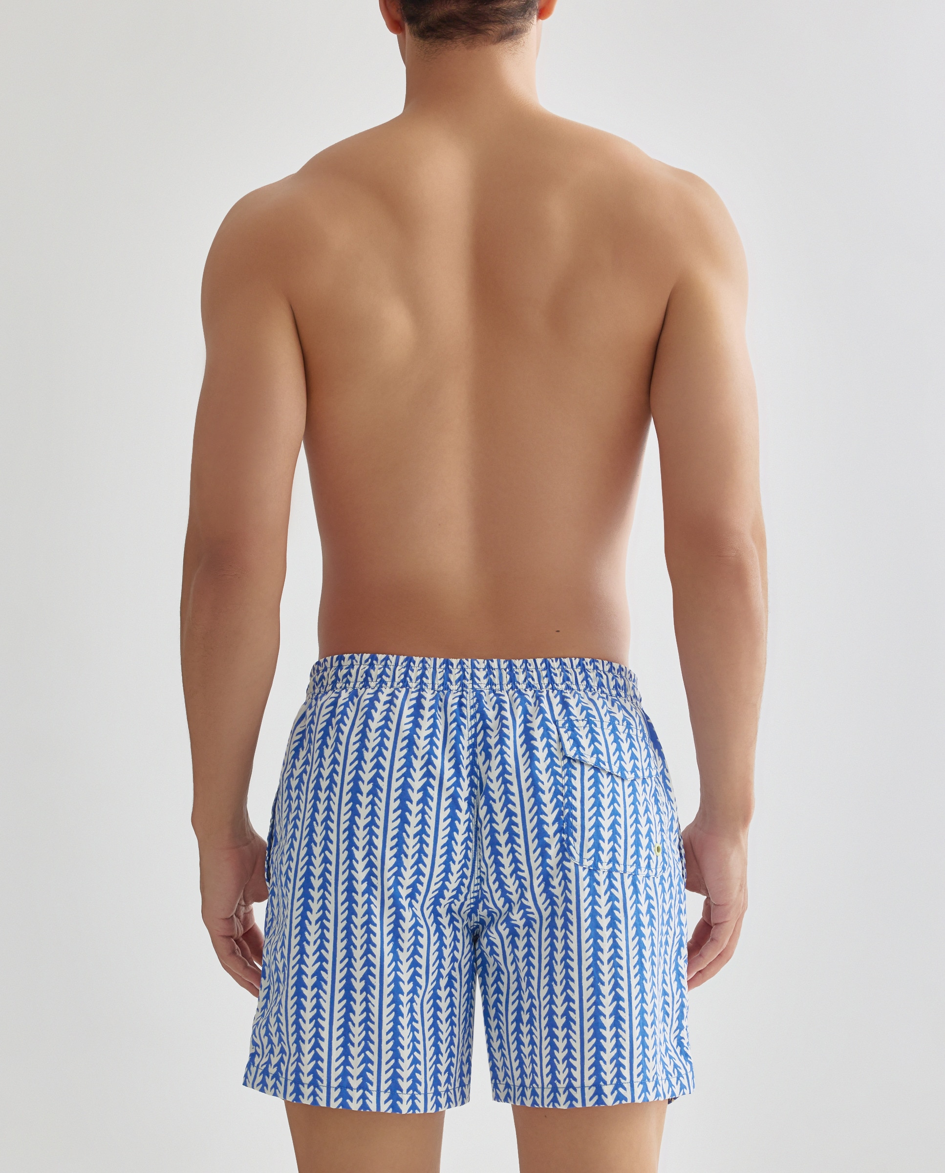Bañador estampado espigas hombre 440 Azulón-2