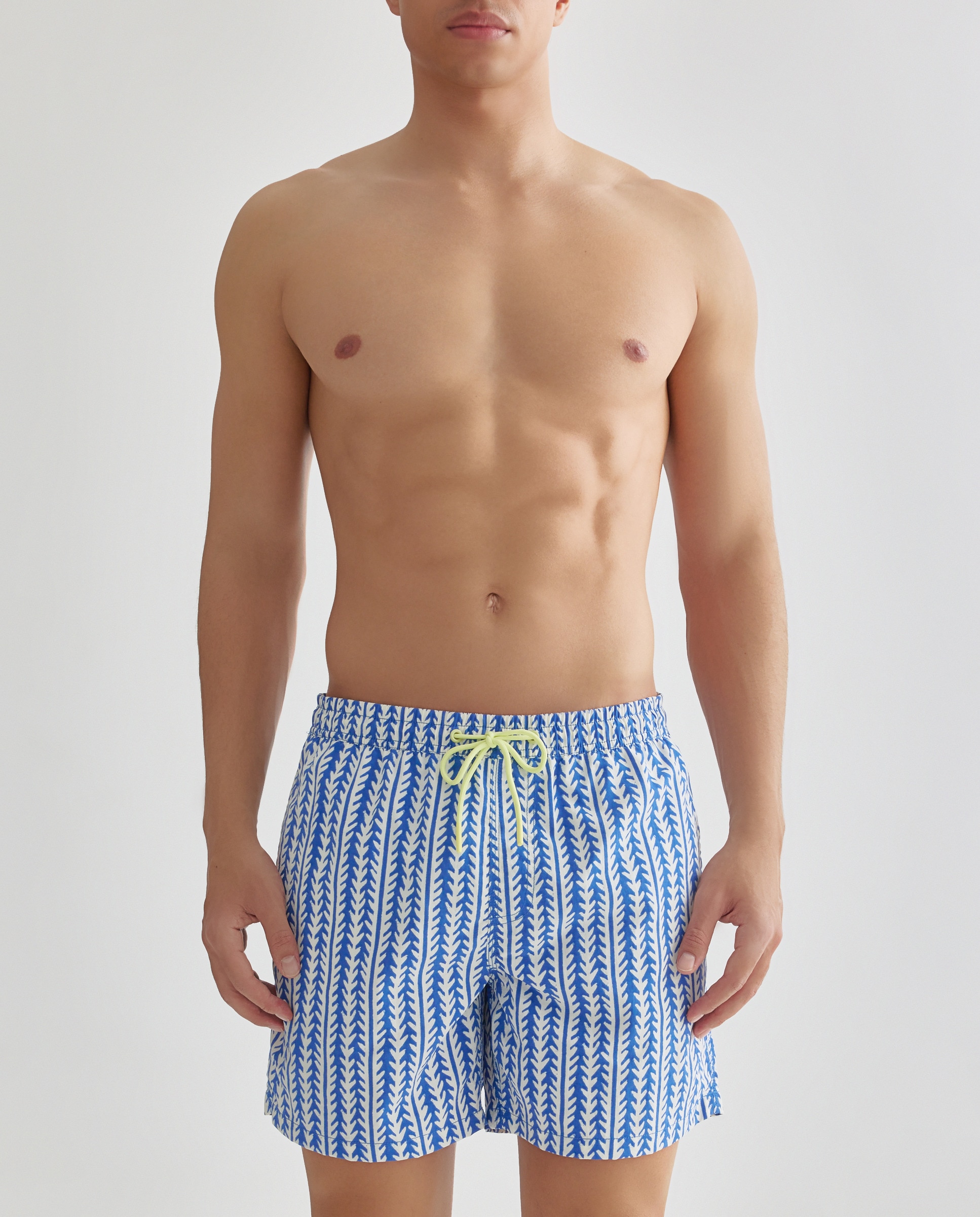 Imagen 0 de Bañador estampado espigas hombre