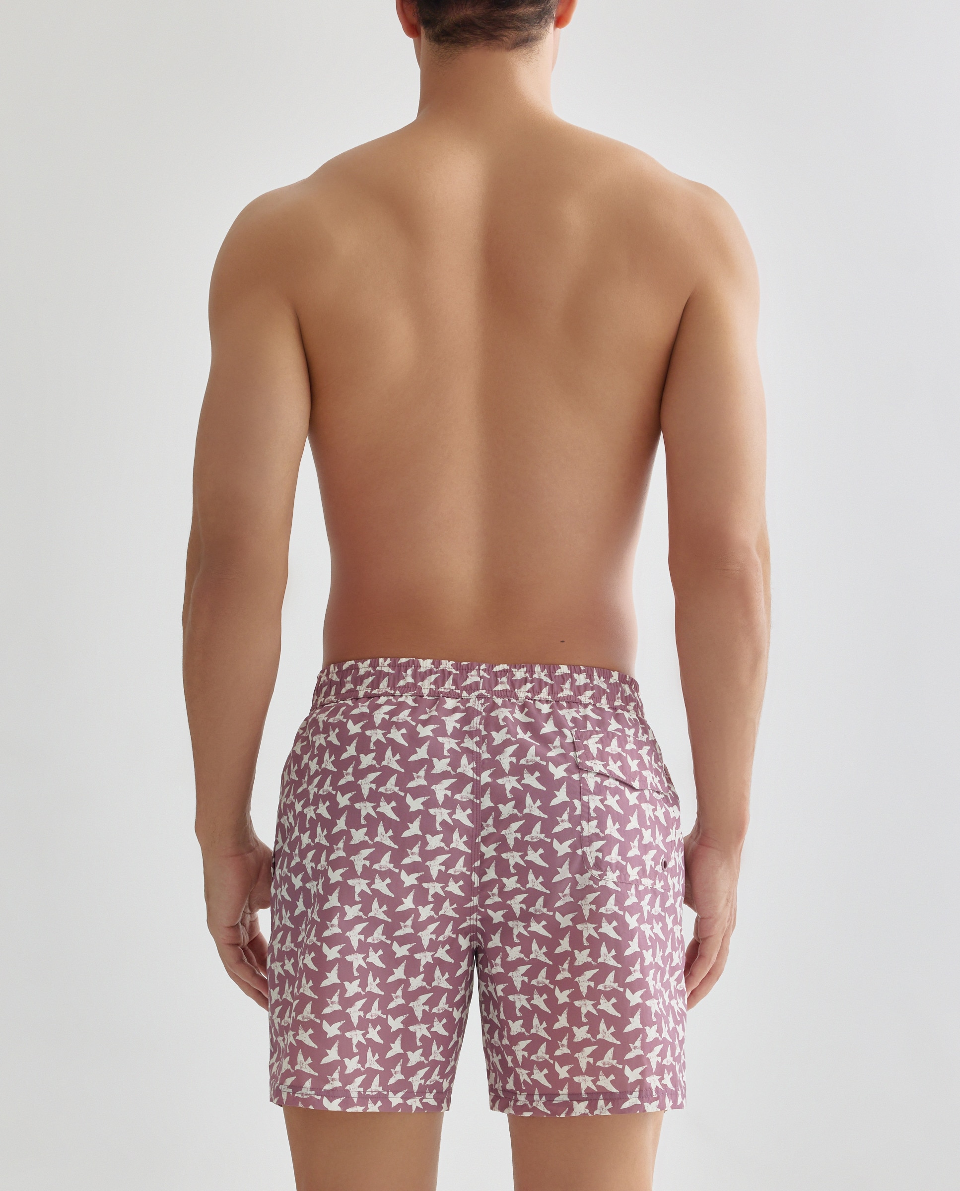Bañador estampado pájaros hombre 282 Malva-2