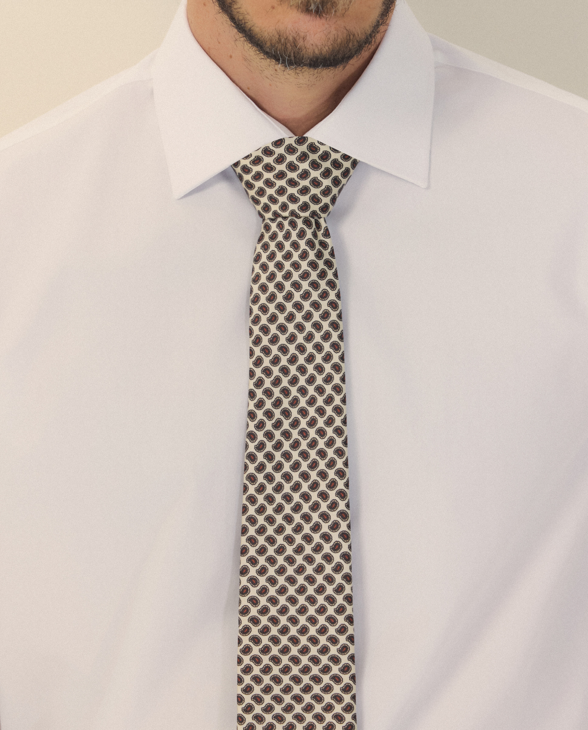 Camisa vestir de hombre regular fit cuello inglés - Emidio Tucci - Blanco Blanco-4