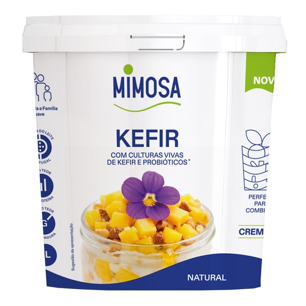Leite Fermentado Kéfir Natural unidade 1000 g