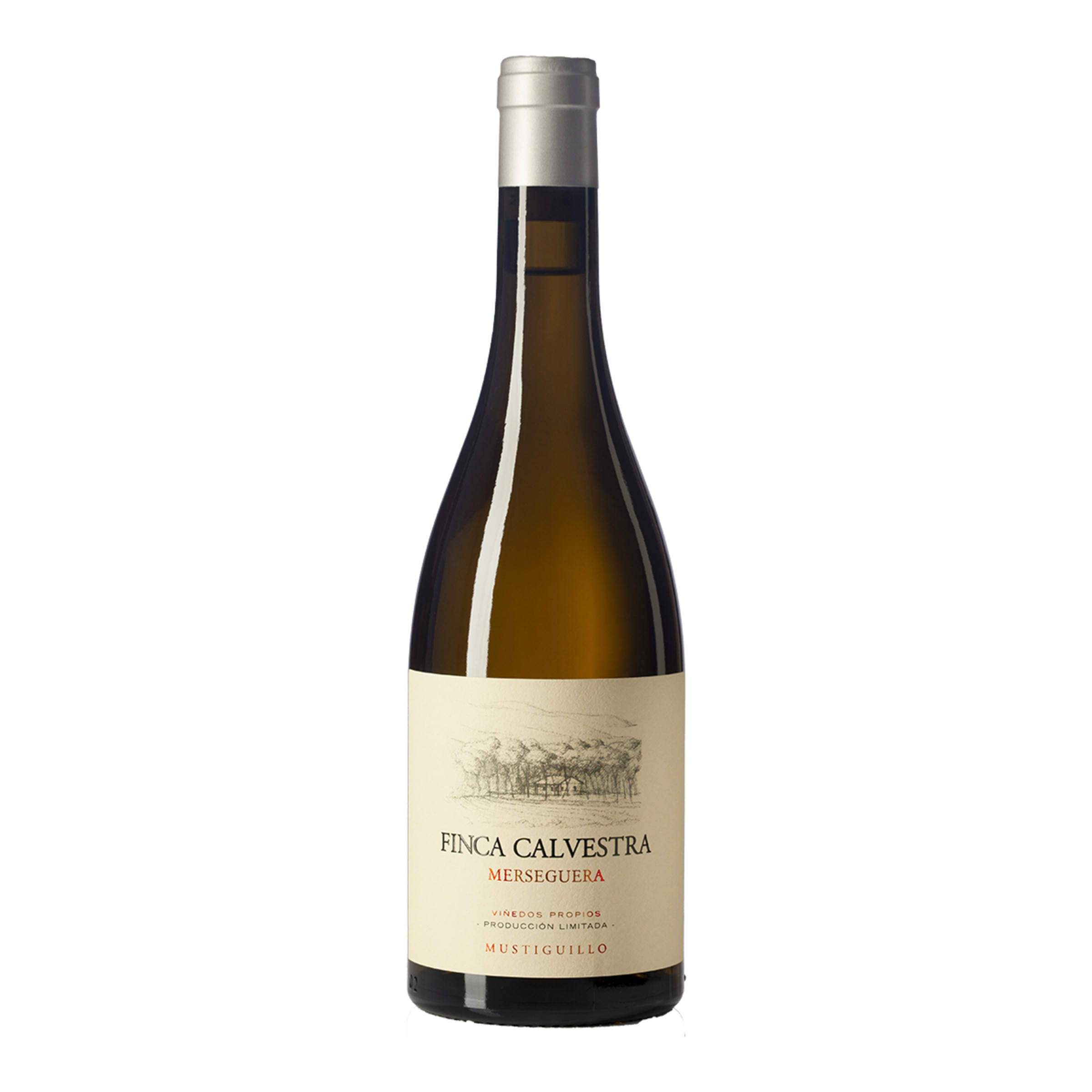 Imagen 0 de Vino blanco Finca Calvestra Mustiguillo Merseguera 2024 El Terrazo