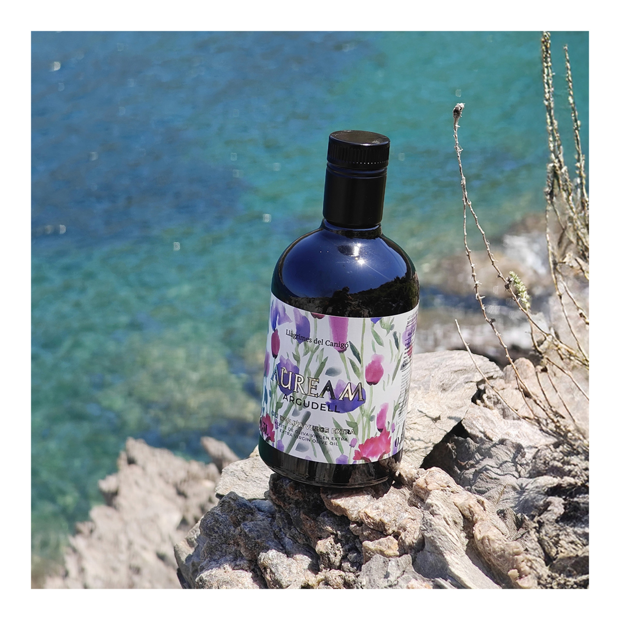 Aceite de oliva virgen extra Auream Argudell Canigooil 3