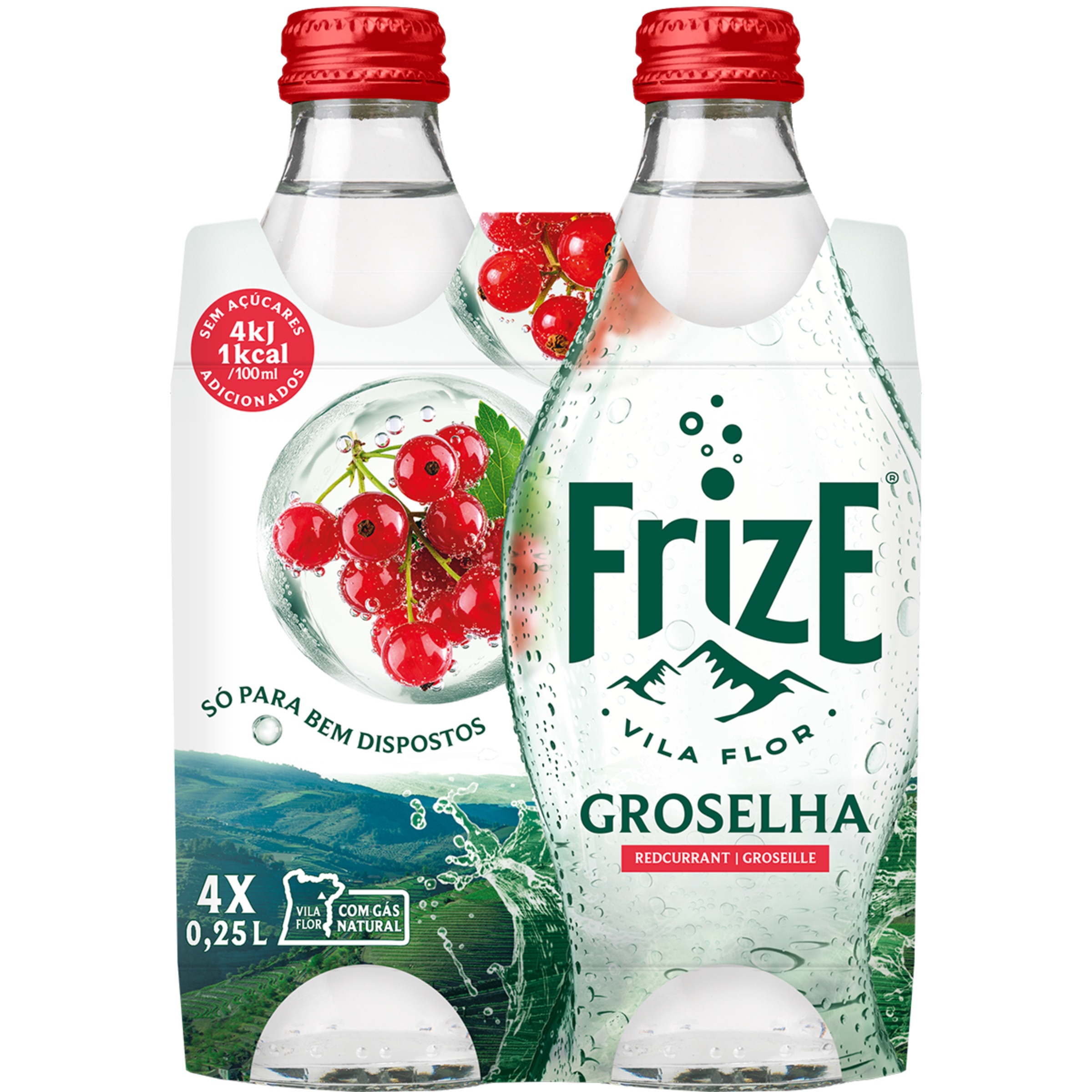 Água com Gás com Sabor a Groselha Pack 4 garrafa 25 cl