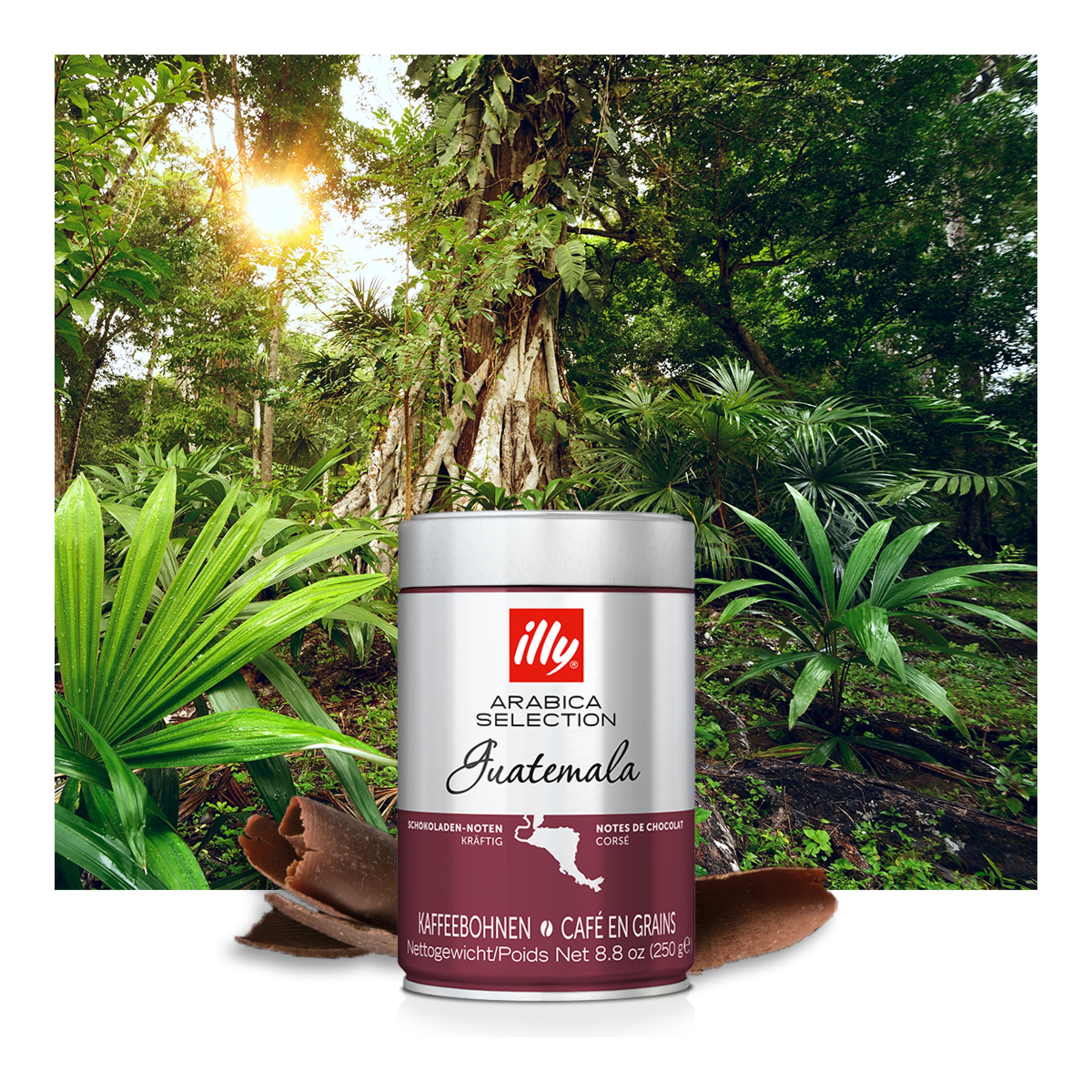 Café en grano selección Guatemala Illy blend 100% Arábica 3