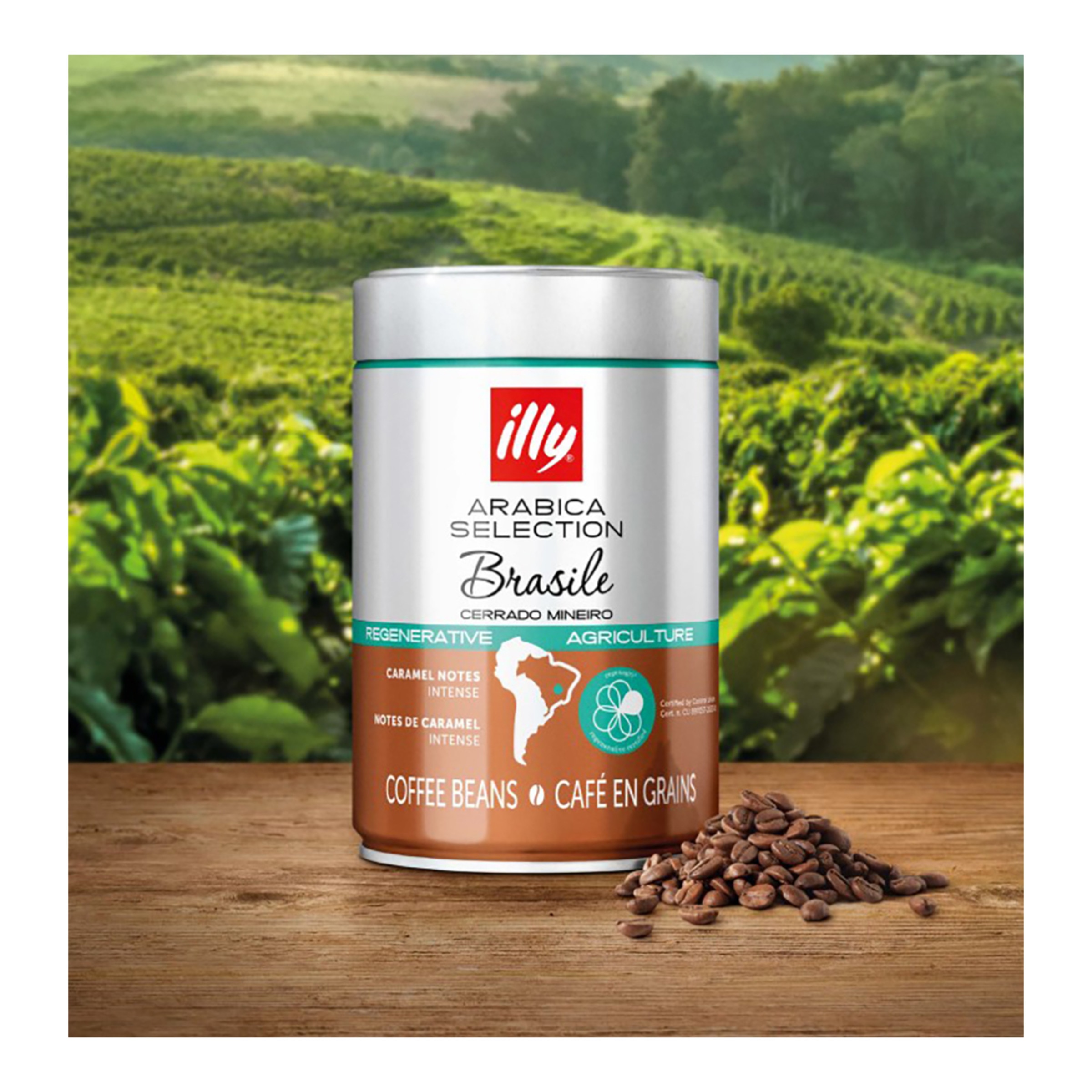 Café en grano Brasil Cerrado Mineiro Illy 100% Arabica 3