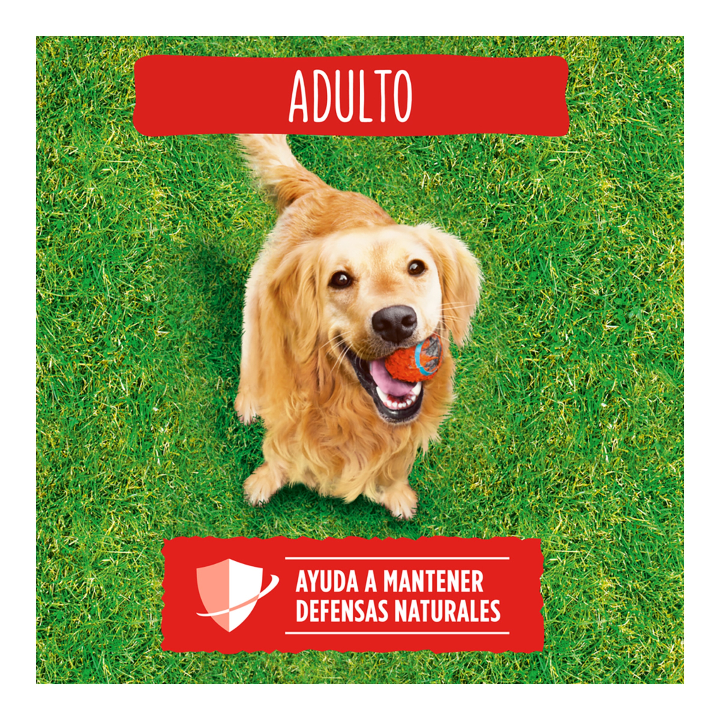 Pienso para perros adultos Friskies buey, cereales y verduras 3