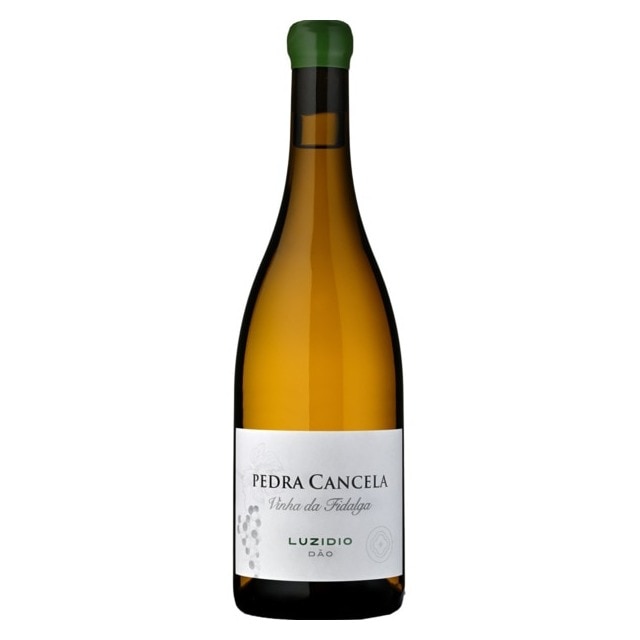 Imagem 0 de Vinho Branco do Dão Vinha da Fidalga Luzidio 75 cl