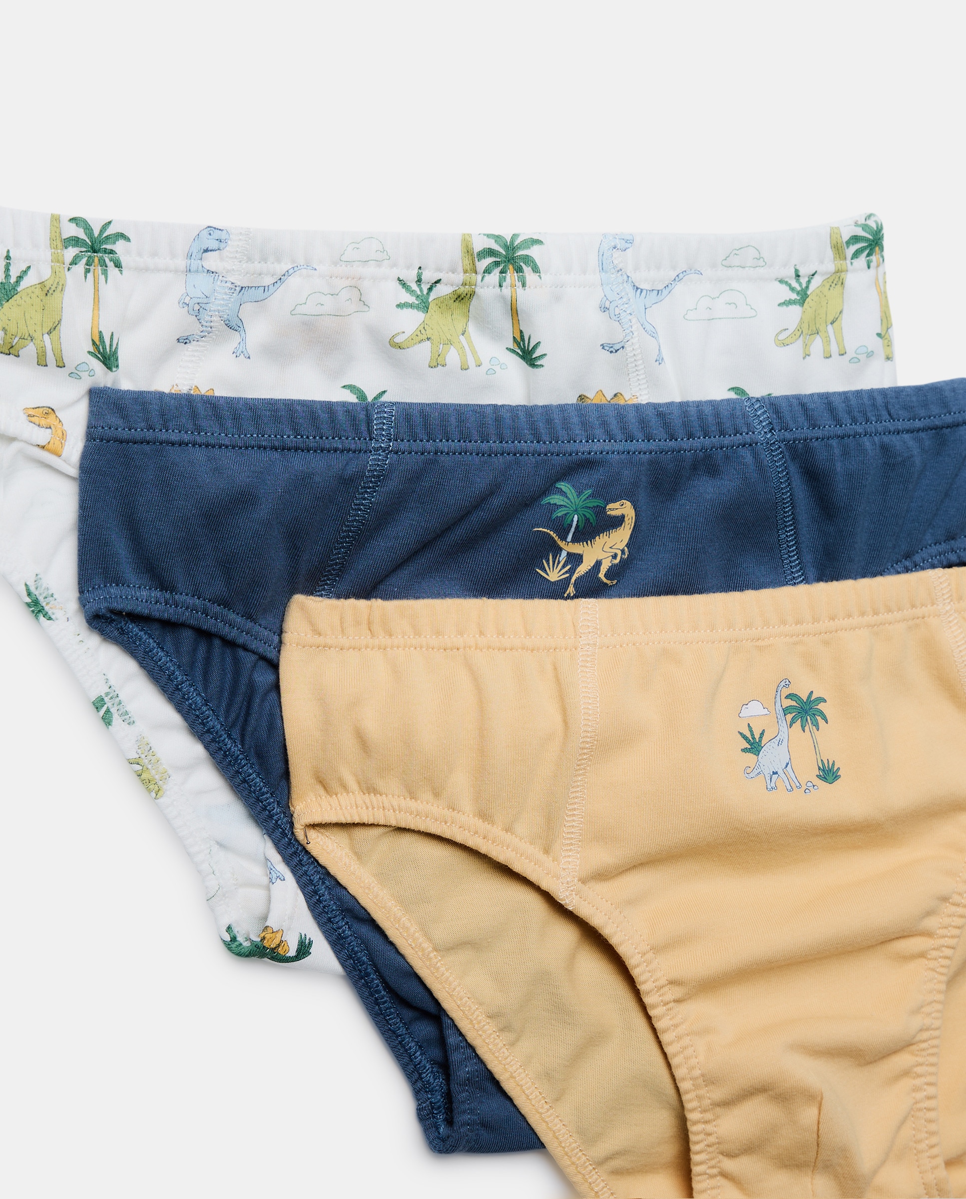 Pack de 5 Slips com Estampado de Fantasia - Multicolor Cotton Juice Multicolor-3