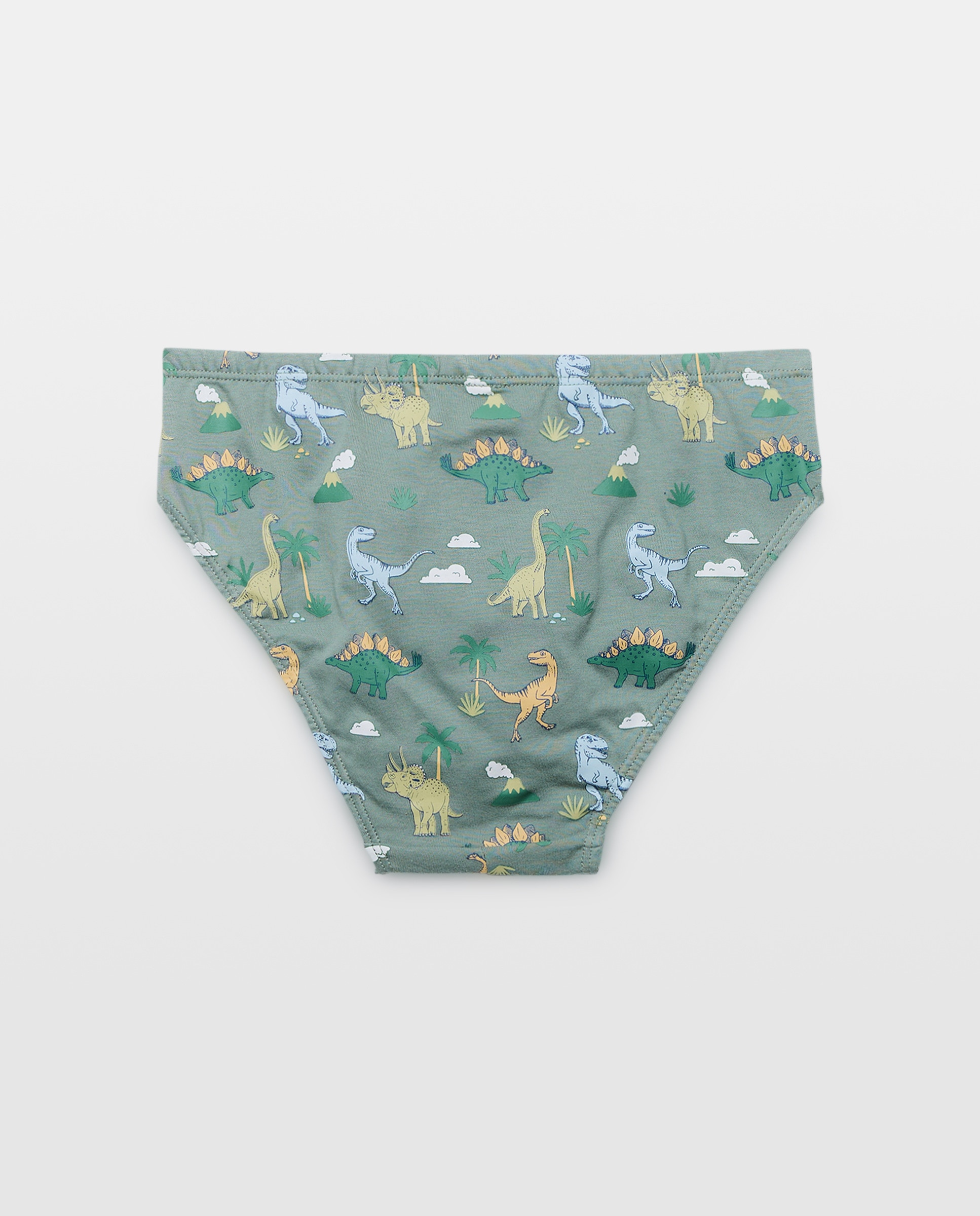Pack de 5 Slips com Estampado de Fantasia - Multicolor Cotton Juice Multicolor-2