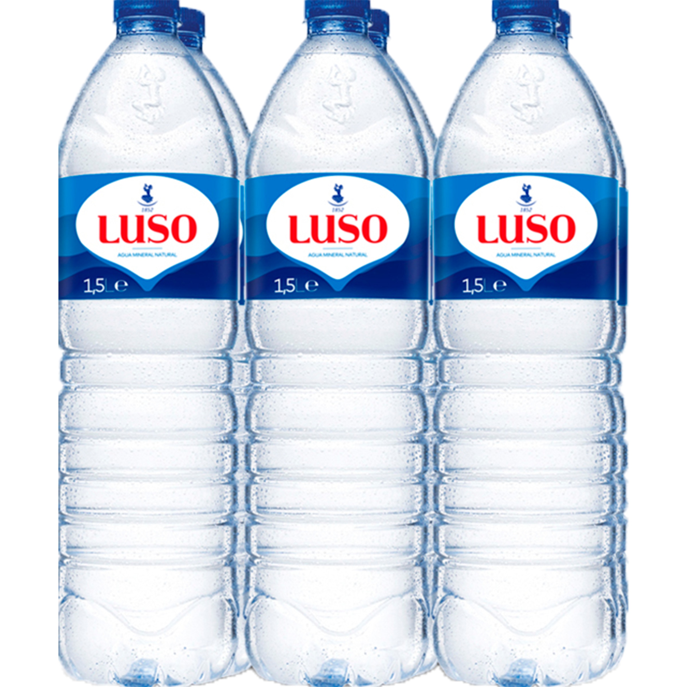 Água Mineral Natural Pack 6 unidades garrafa 1,5 L