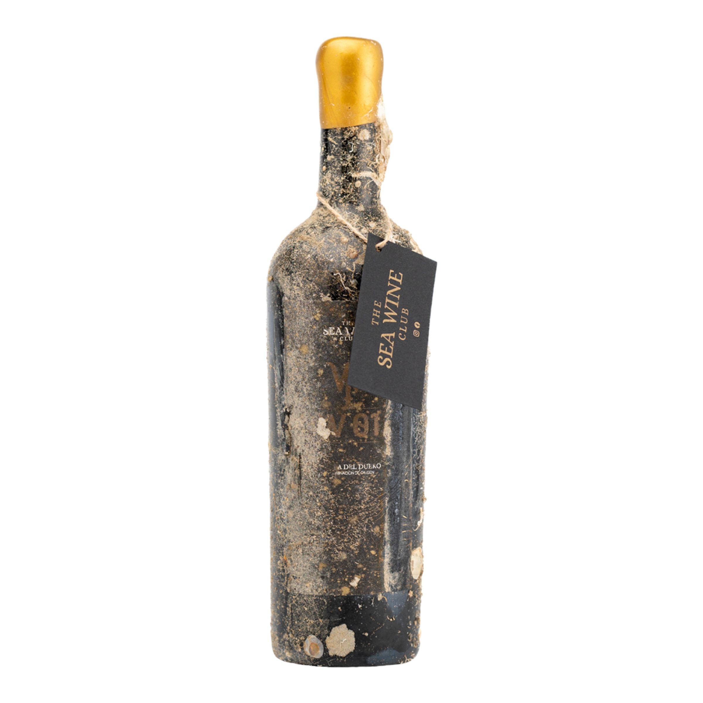 Estuche vino tinto W01 Tempranillo 2020 Bodega Submarina del Mediterráneo Ribera del Duero 3