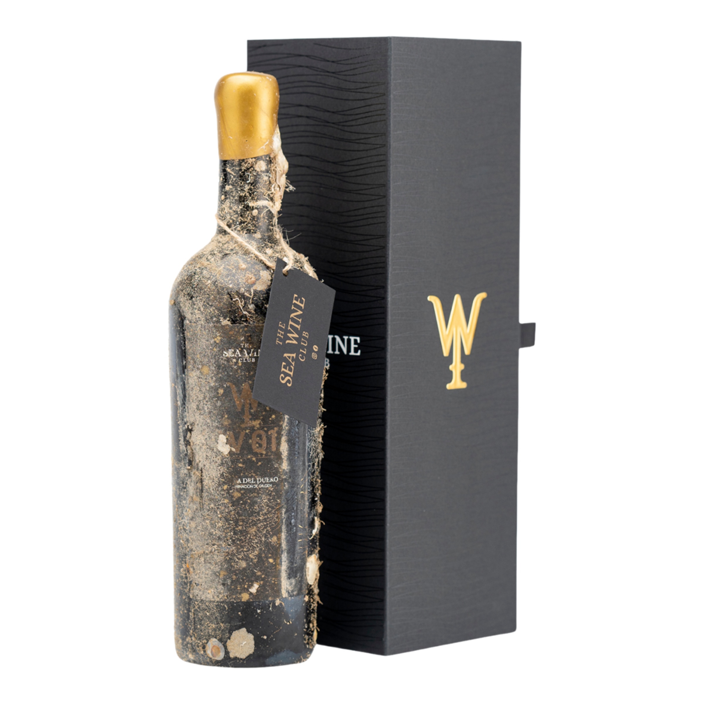 Imagen 0 de Estuche vino tinto W01 Tempranillo 2020 Bodega Submarina del Mediterráneo Ribera del Duero