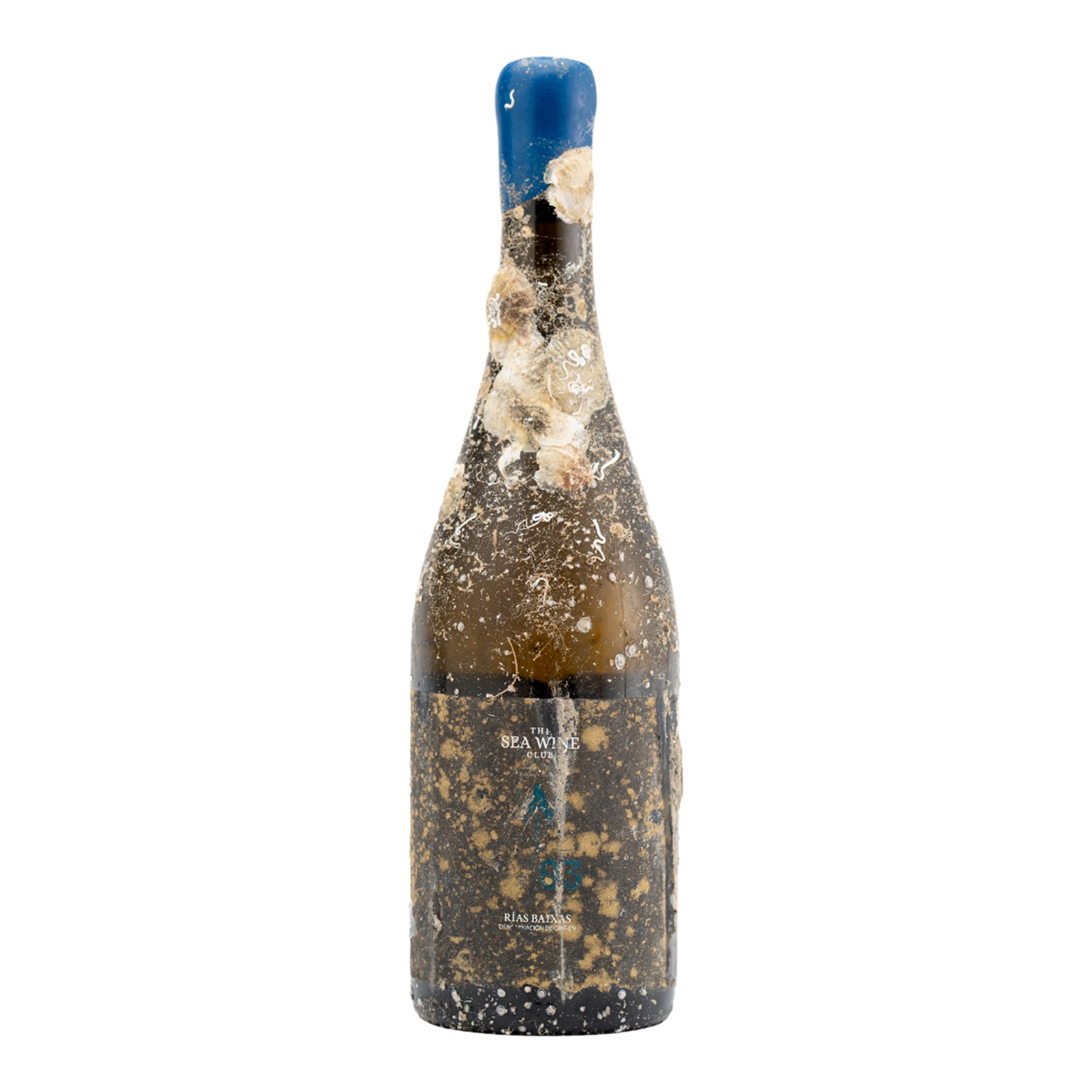 Estuche vino blanco W03 Albariño 2022 Bodega Submarina del Mediterráneo Rías Baixas 3