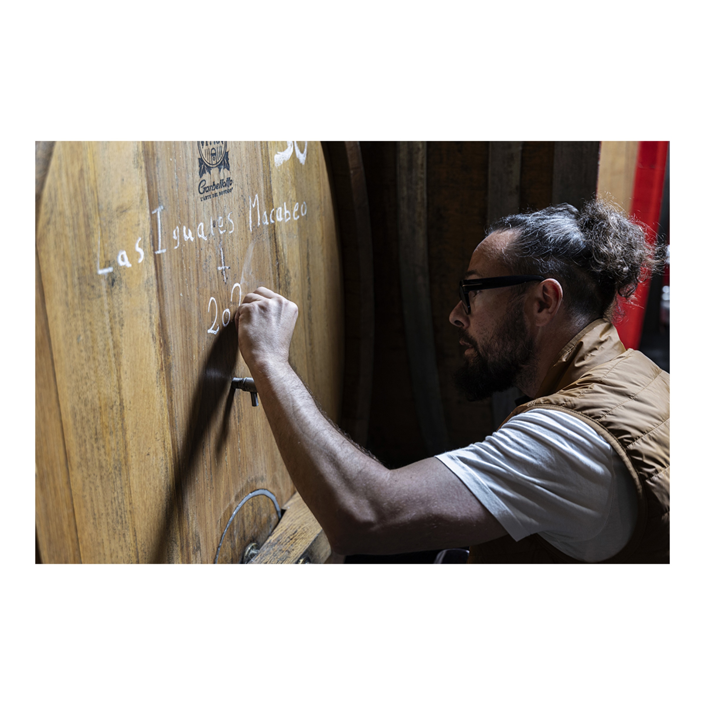 Vino blanco El Jardín de Las Iguales Macabeo 2021 Frontonio Aragón 2