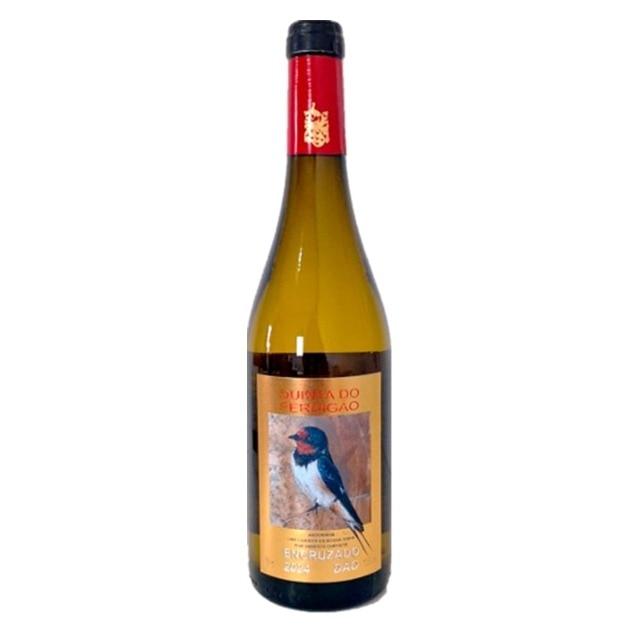 Imagem 0 de Vinho Branco do Dão Encruzado